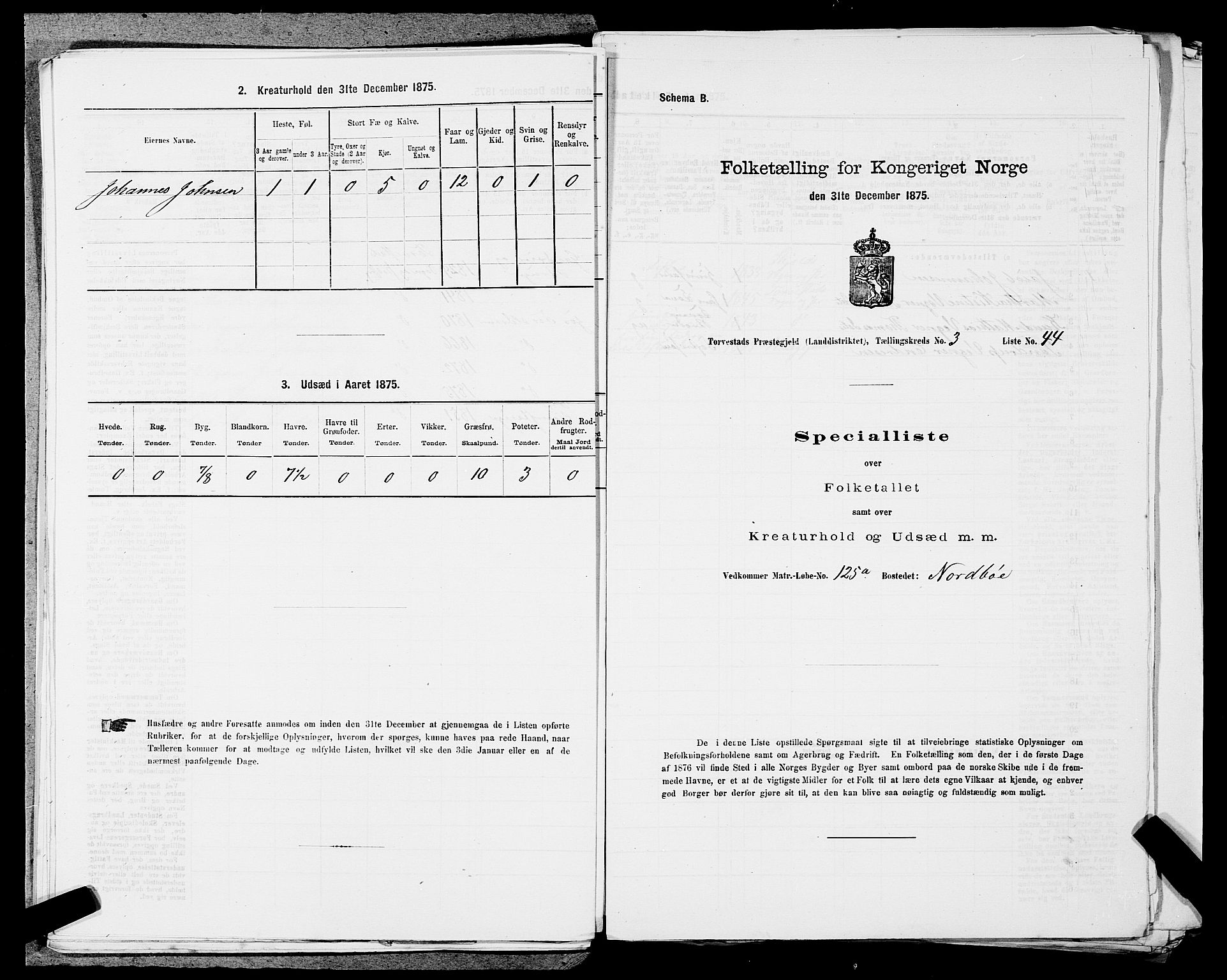 SAST, 1875 census for 1152L Torvastad/Torvastad, Skåre og Utsira, 1875, p. 505