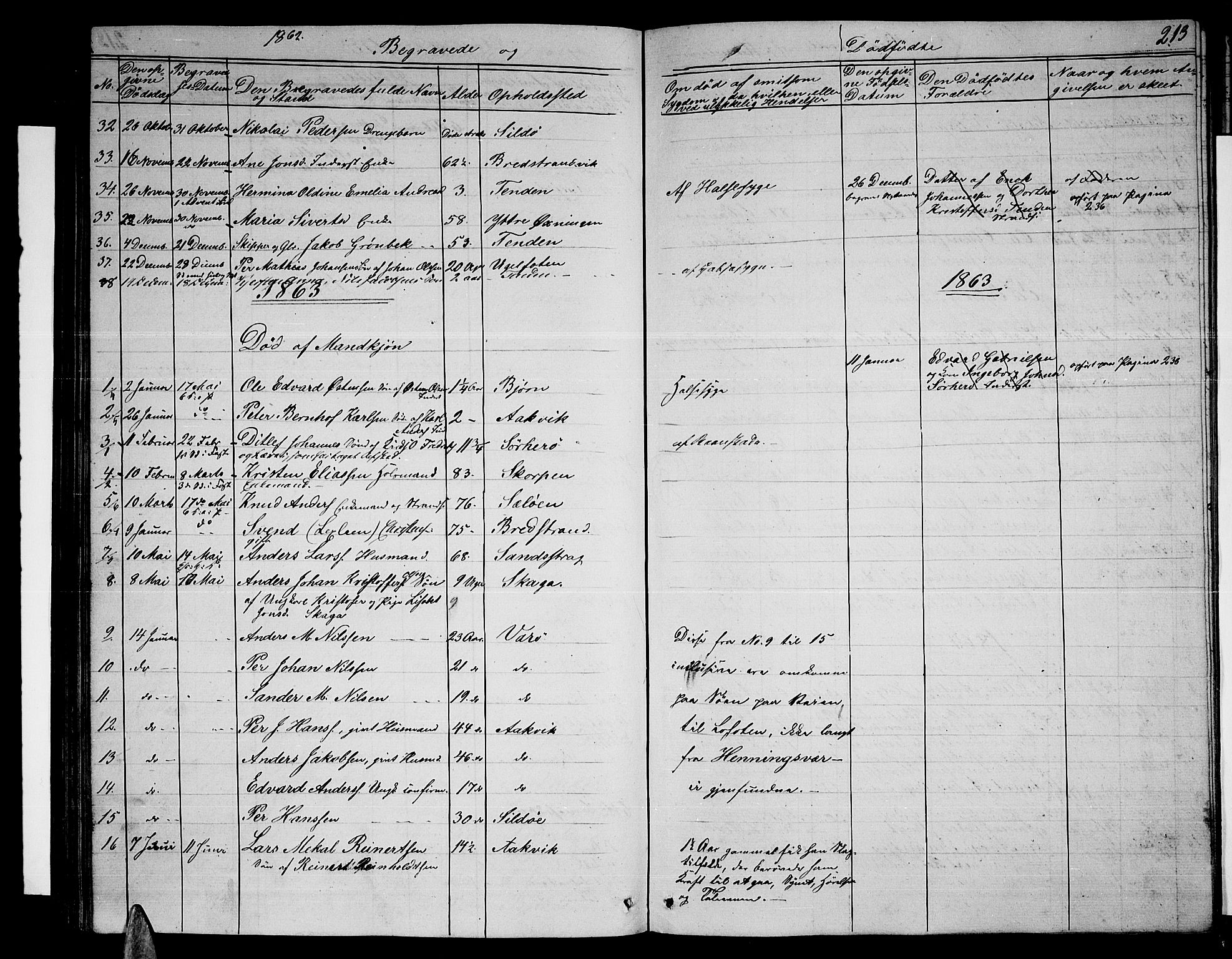 Ministerialprotokoller, klokkerbøker og fødselsregistre - Nordland, AV/SAT-A-1459/834/L0512: Parish register (copy) no. 834C03, 1862-1877, p. 213