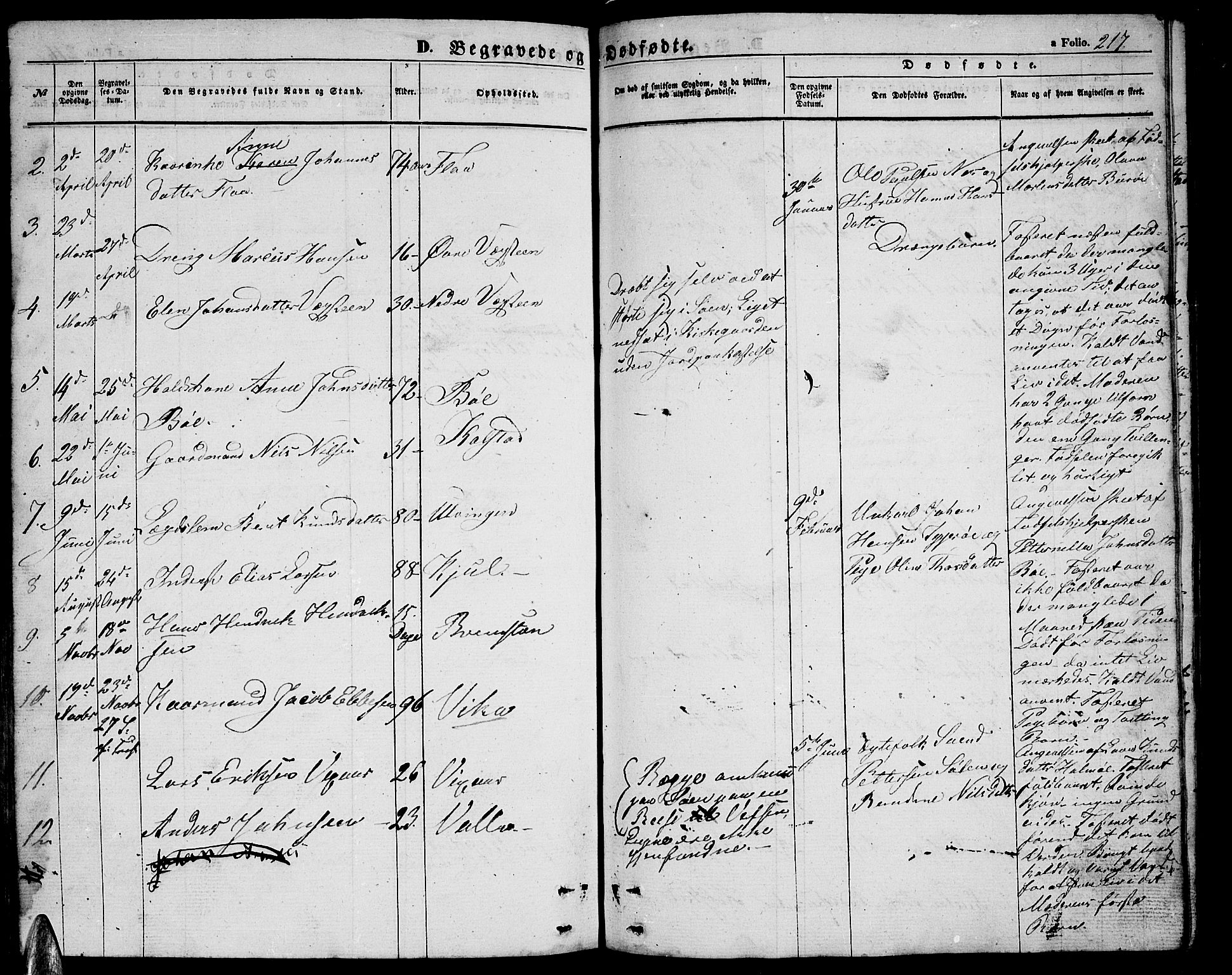 Ministerialprotokoller, klokkerbøker og fødselsregistre - Nordland, AV/SAT-A-1459/816/L0251: Parish register (copy) no. 816C01, 1852-1870, p. 217