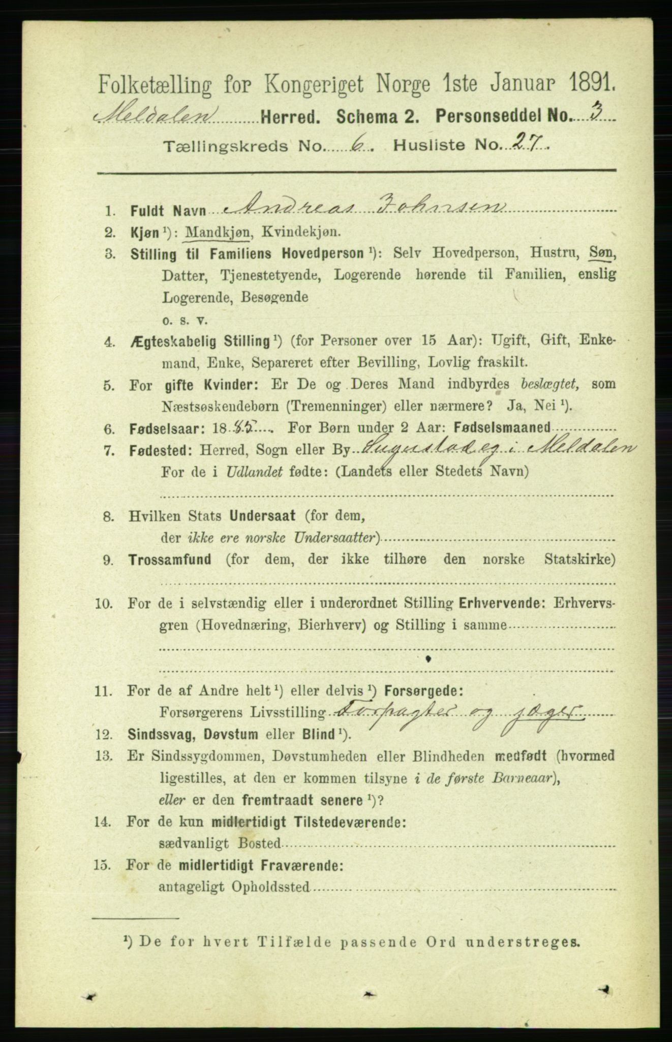 RA, 1891 census for 1636 Meldal, 1891, p. 3031