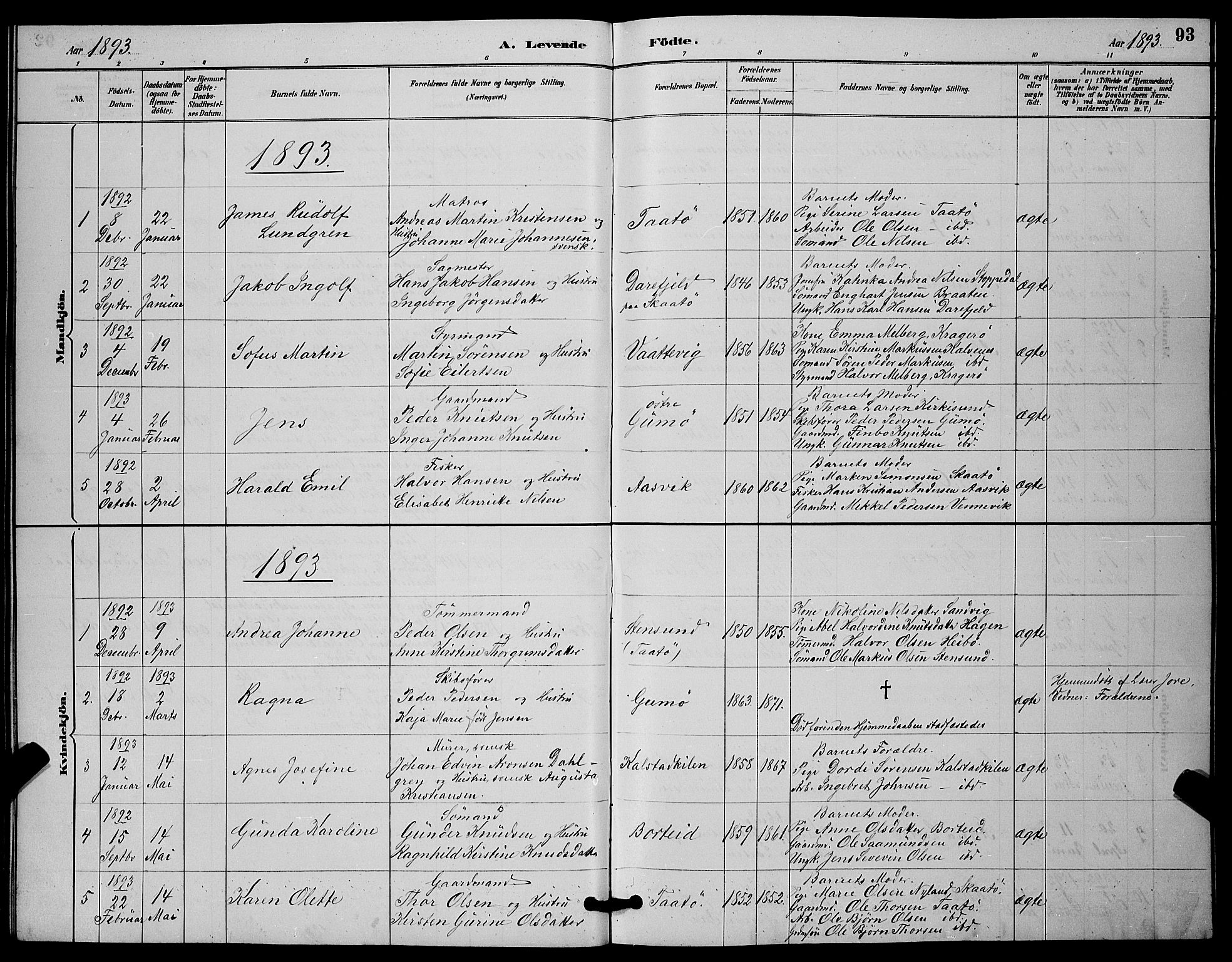 Skåtøy kirkebøker, SAKO/A-304/G/Ga/L0003: Parish register (copy) no. I 3, 1884-1898, p. 93