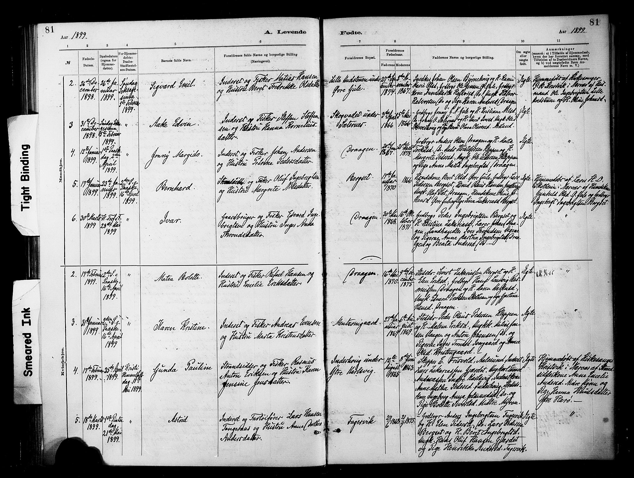 Ministerialprotokoller, klokkerbøker og fødselsregistre - Møre og Romsdal, AV/SAT-A-1454/566/L0769: Parish register (official) no. 566A08, 1881-1903, p. 81