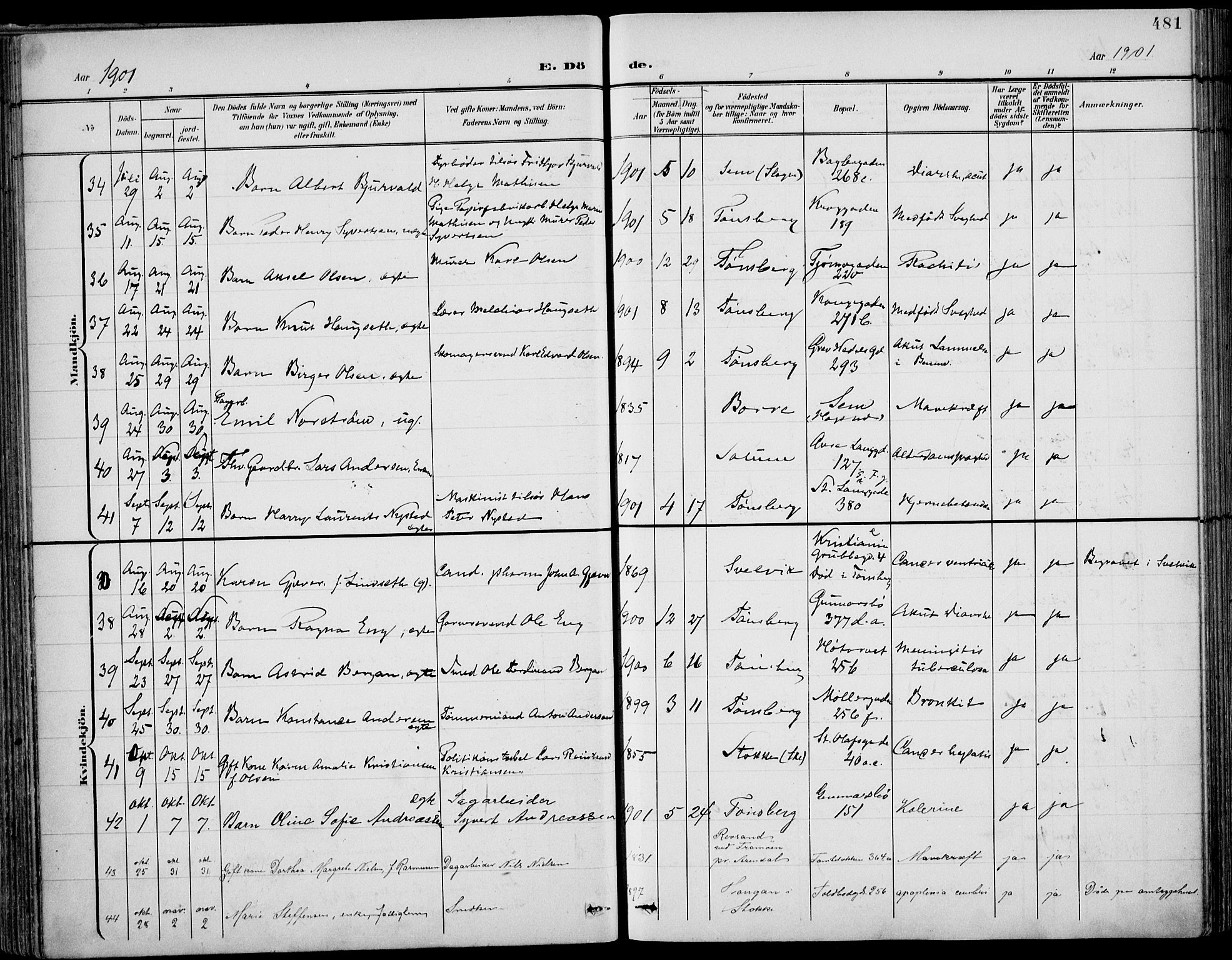 Tønsberg kirkebøker, AV/SAKO-A-330/F/Fa/L0013: Parish register (official) no. I 13, 1900-1913, p. 481