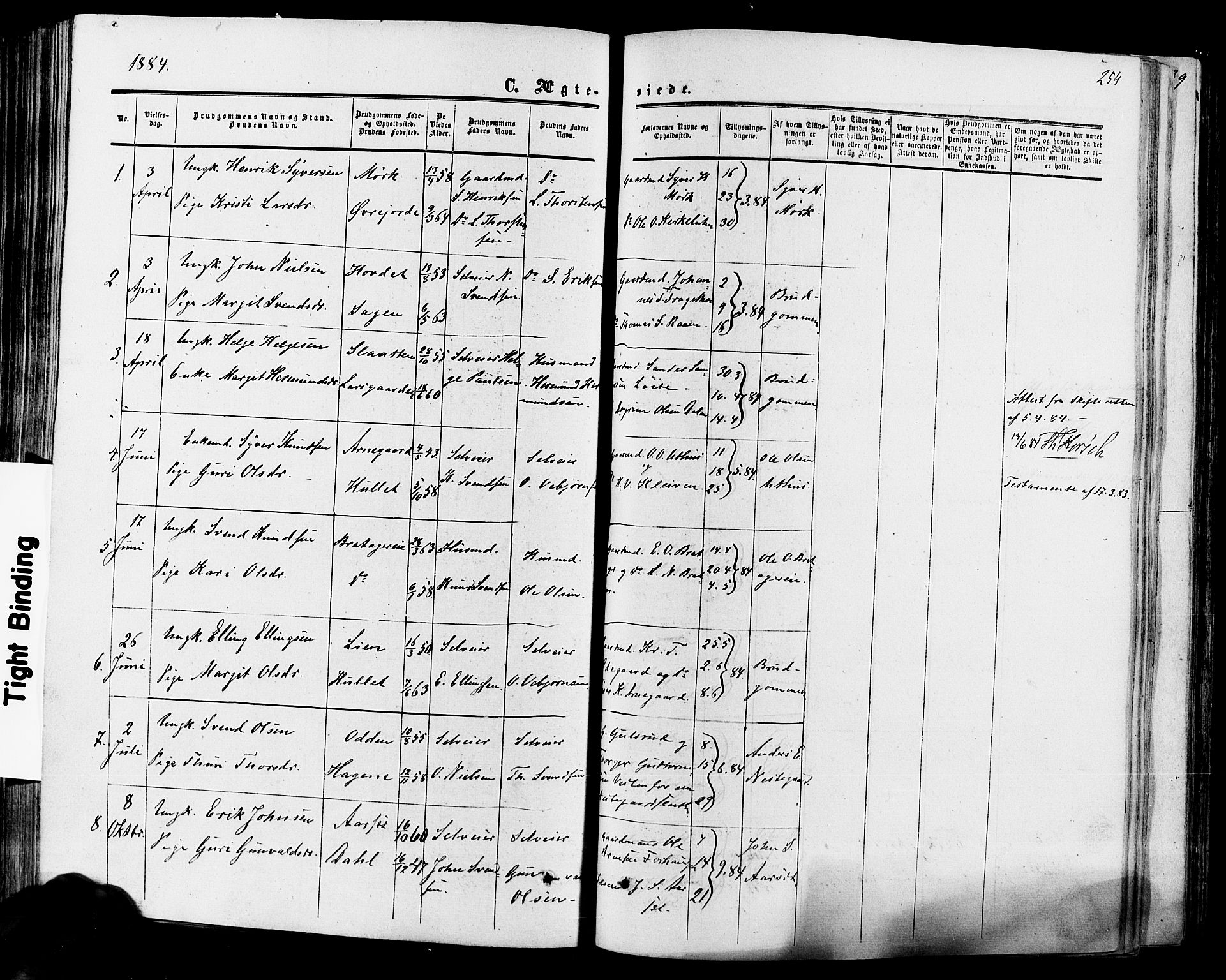 Hol kirkebøker, SAKO/A-227/F/Fa/L0002: Parish register (official) no. I 2, 1870-1886, p. 254