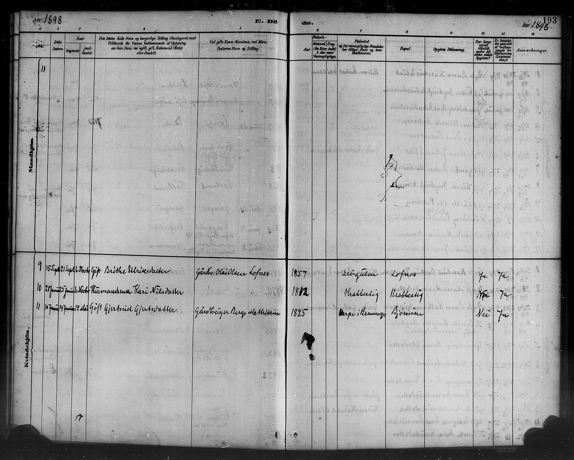 Davik sokneprestembete, AV/SAB-A-79701/H/Haa/Haad/L0001: Parish register (official) no. D 1, 1882-1900, p. 193