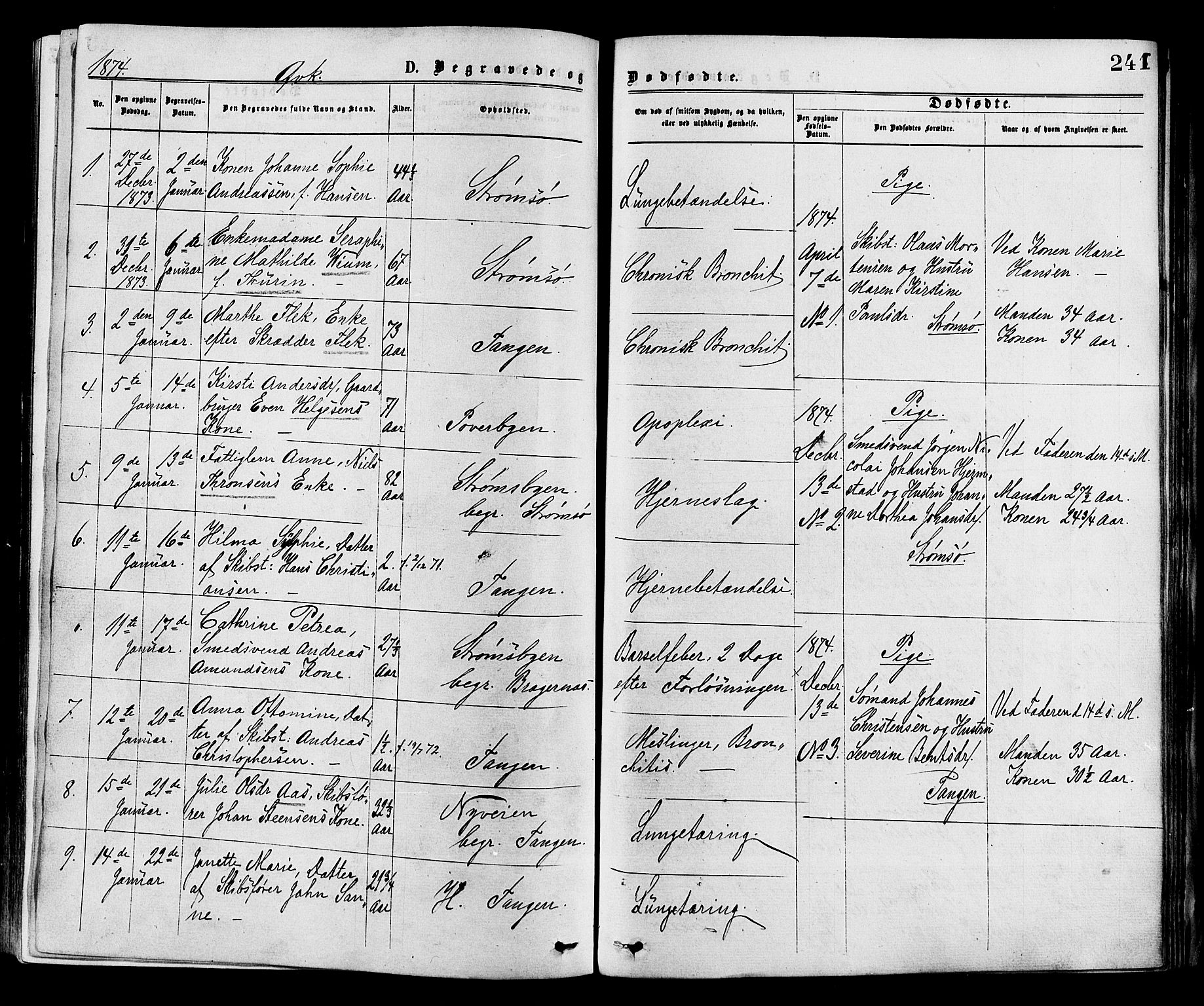 Strømsø kirkebøker, SAKO/A-246/F/Fa/L0019: Parish register (official) no. I 19, 1874-1877, p. 241