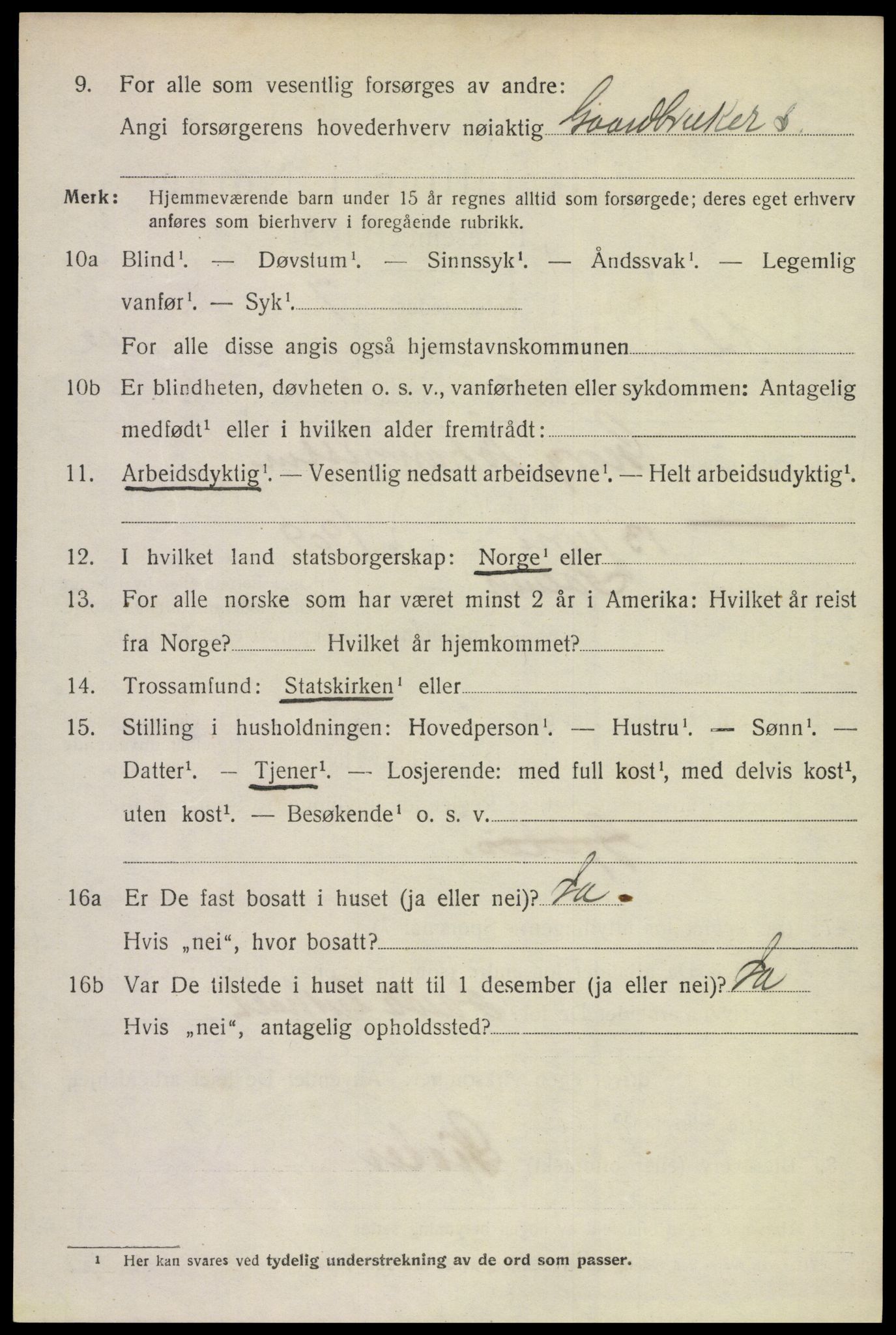 SAKO, 1920 census for Solum, 1920, p. 17045