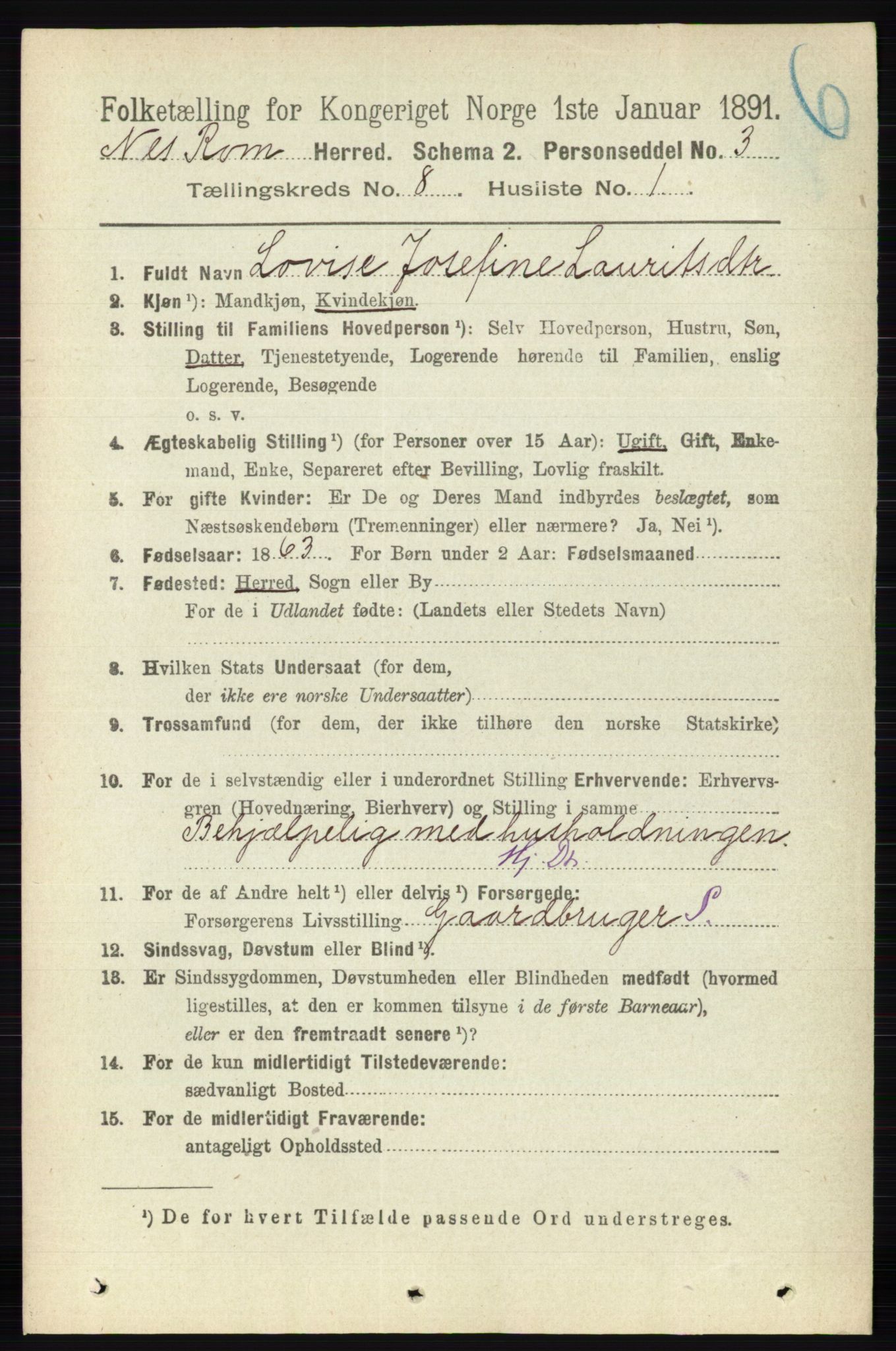 RA, 1891 census for 0236 Nes, 1891, p. 4585