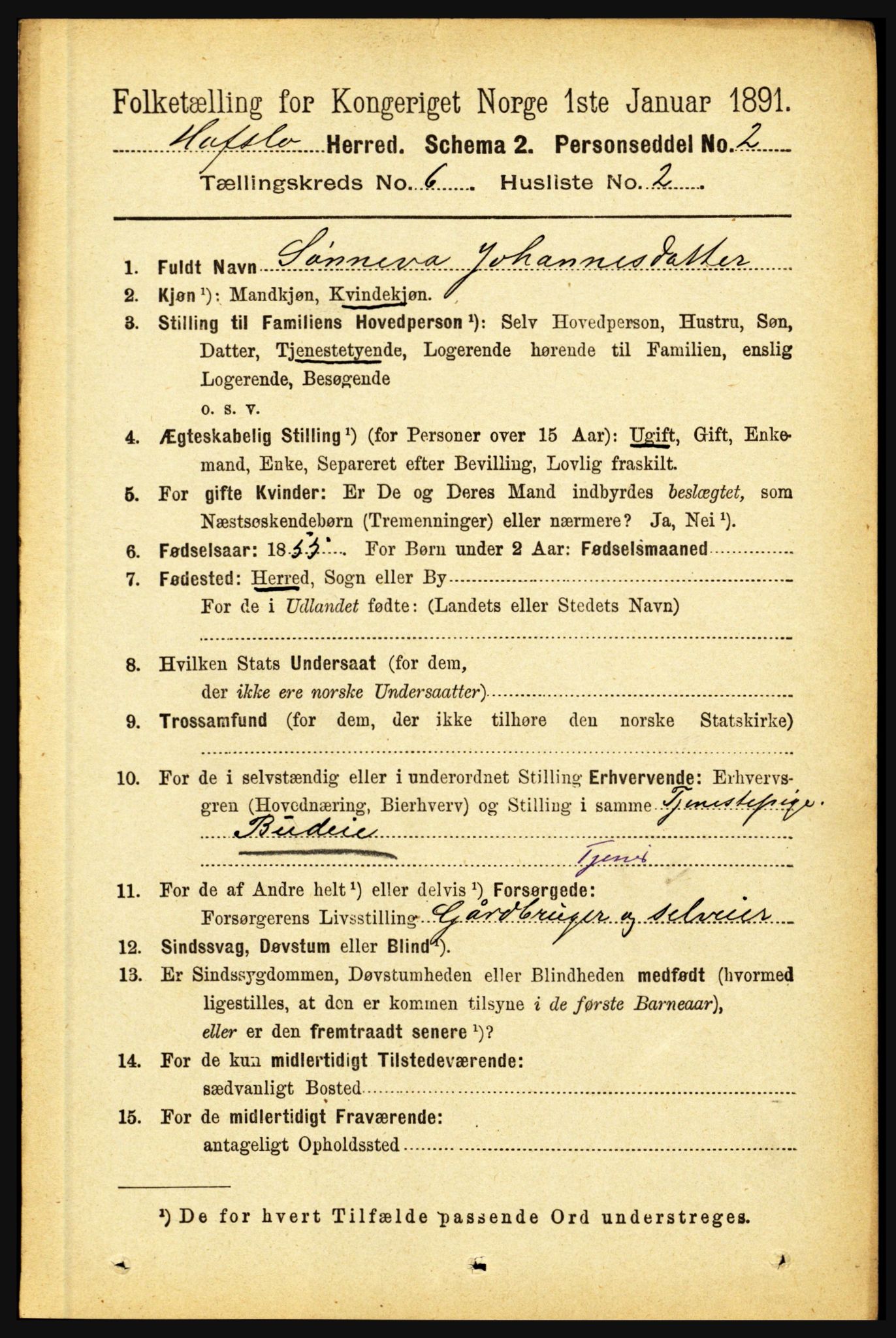 RA, 1891 census for 1425 Hafslo, 1891, p. 2340