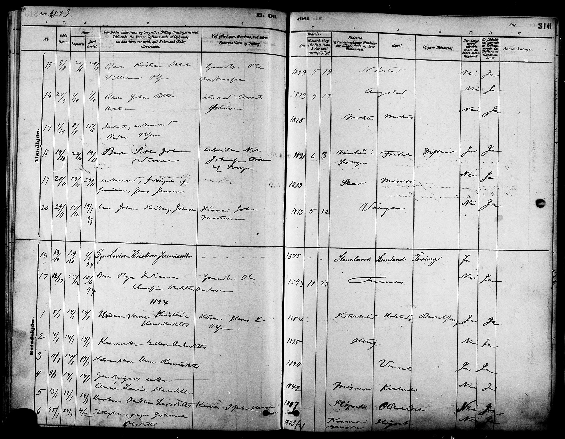 Ministerialprotokoller, klokkerbøker og fødselsregistre - Nordland, SAT/A-1459/852/L0740: Parish register (official) no. 852A10, 1878-1894, p. 316