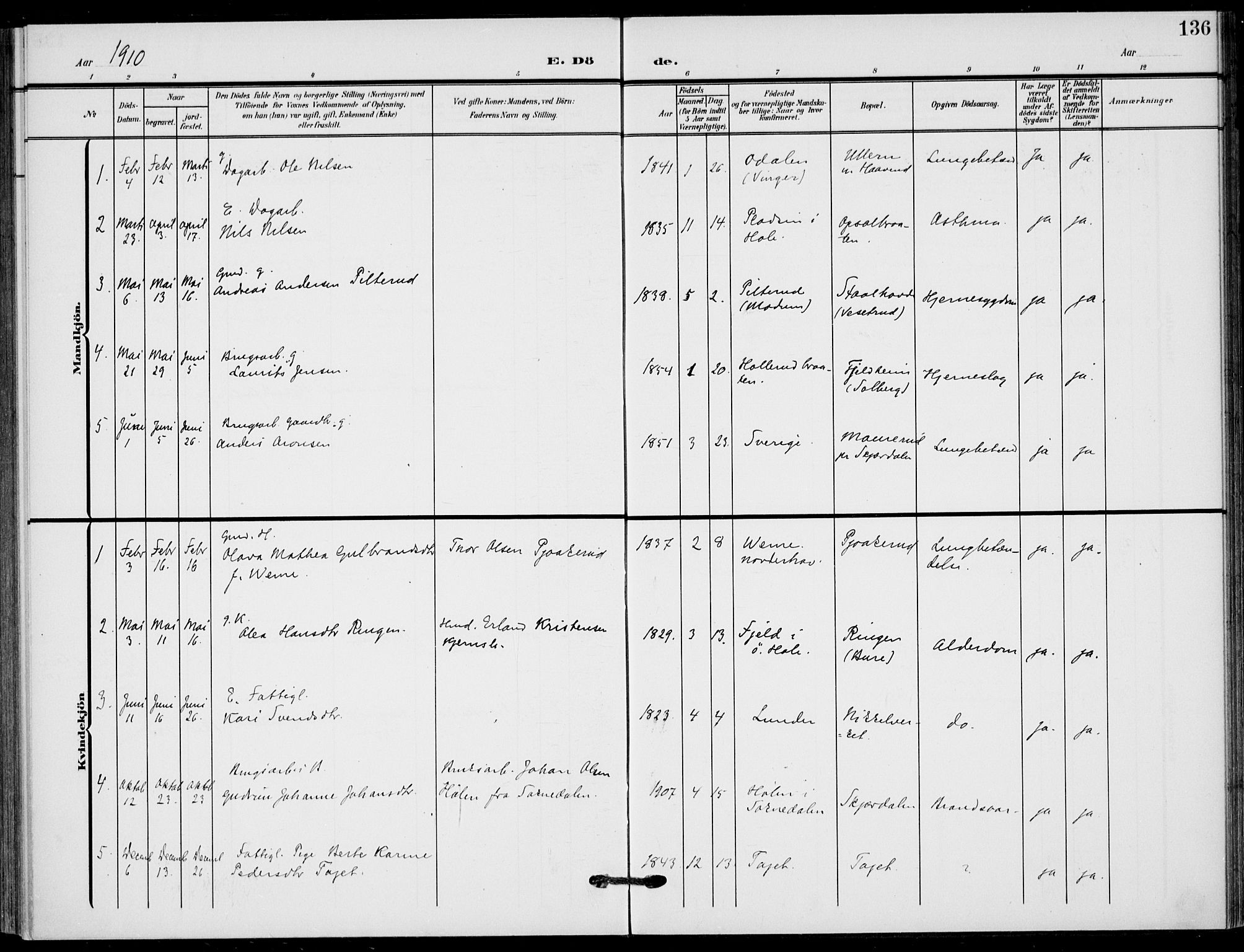 Hole kirkebøker, SAKO/A-228/F/Fb/L0003: Parish register (official) no. II 3, 1906-1916, p. 136