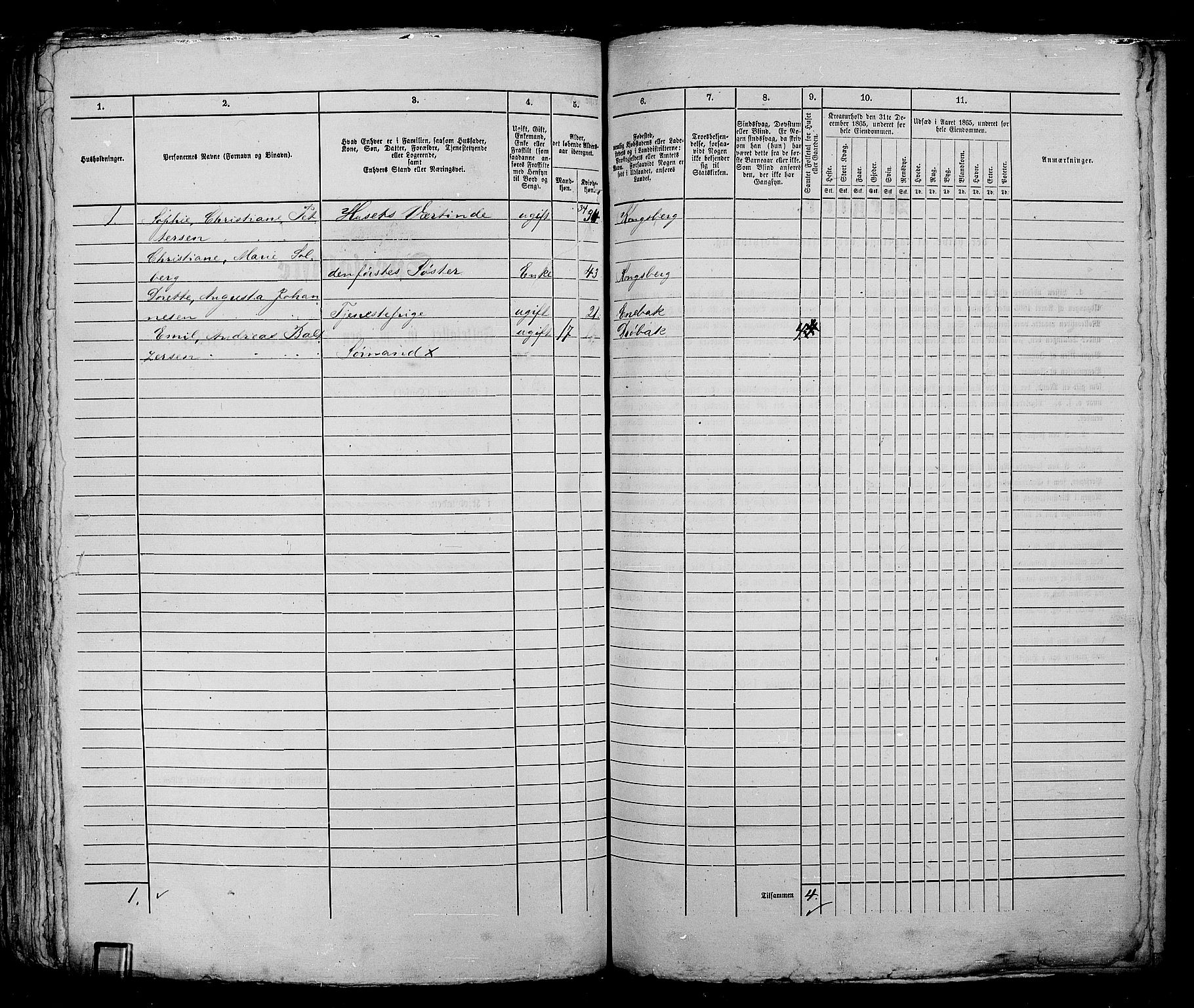 RA, 1865 census for Kristiania, 1865, p. 1993