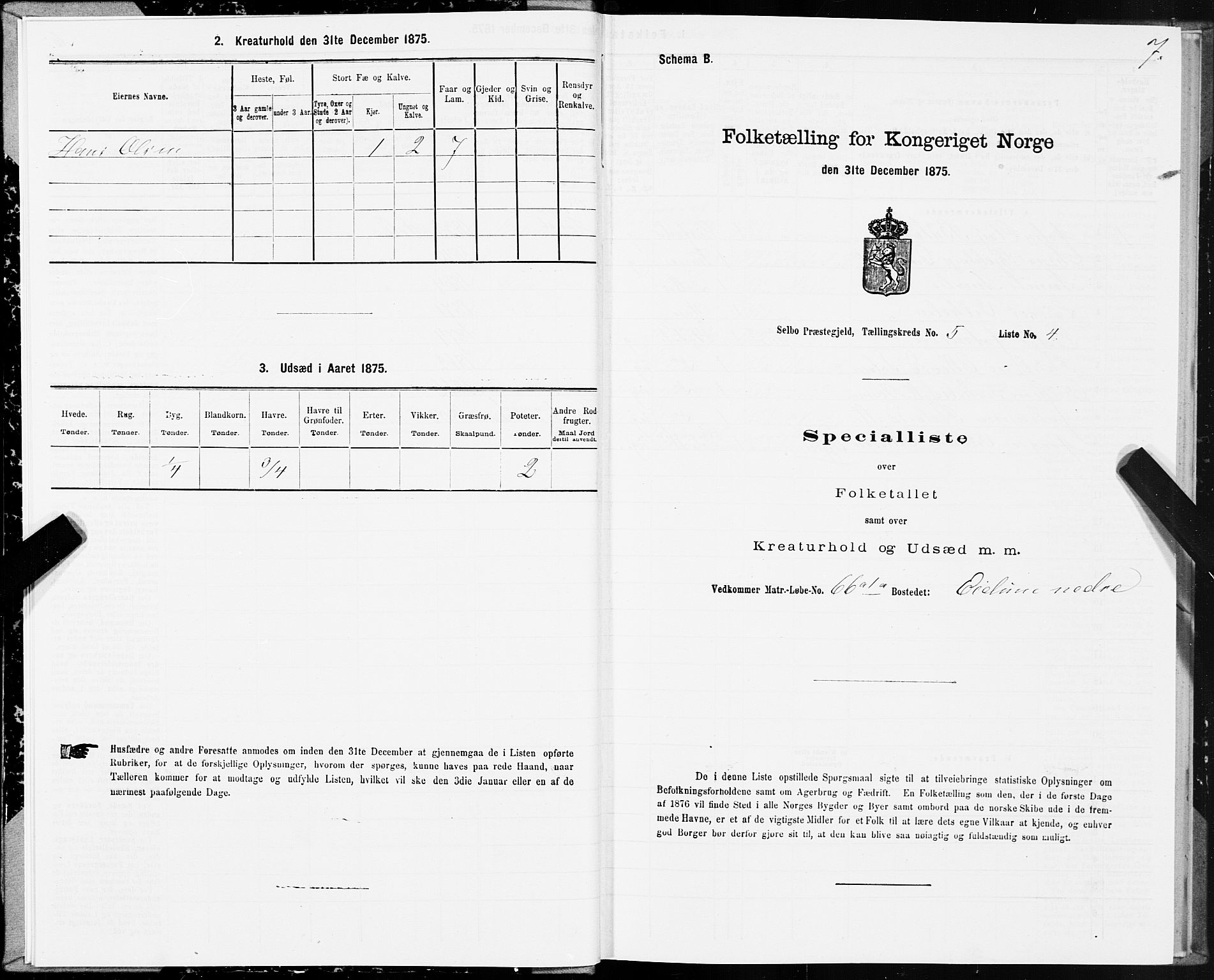 SAT, 1875 census for 1664P Selbu, 1875, p. 3007