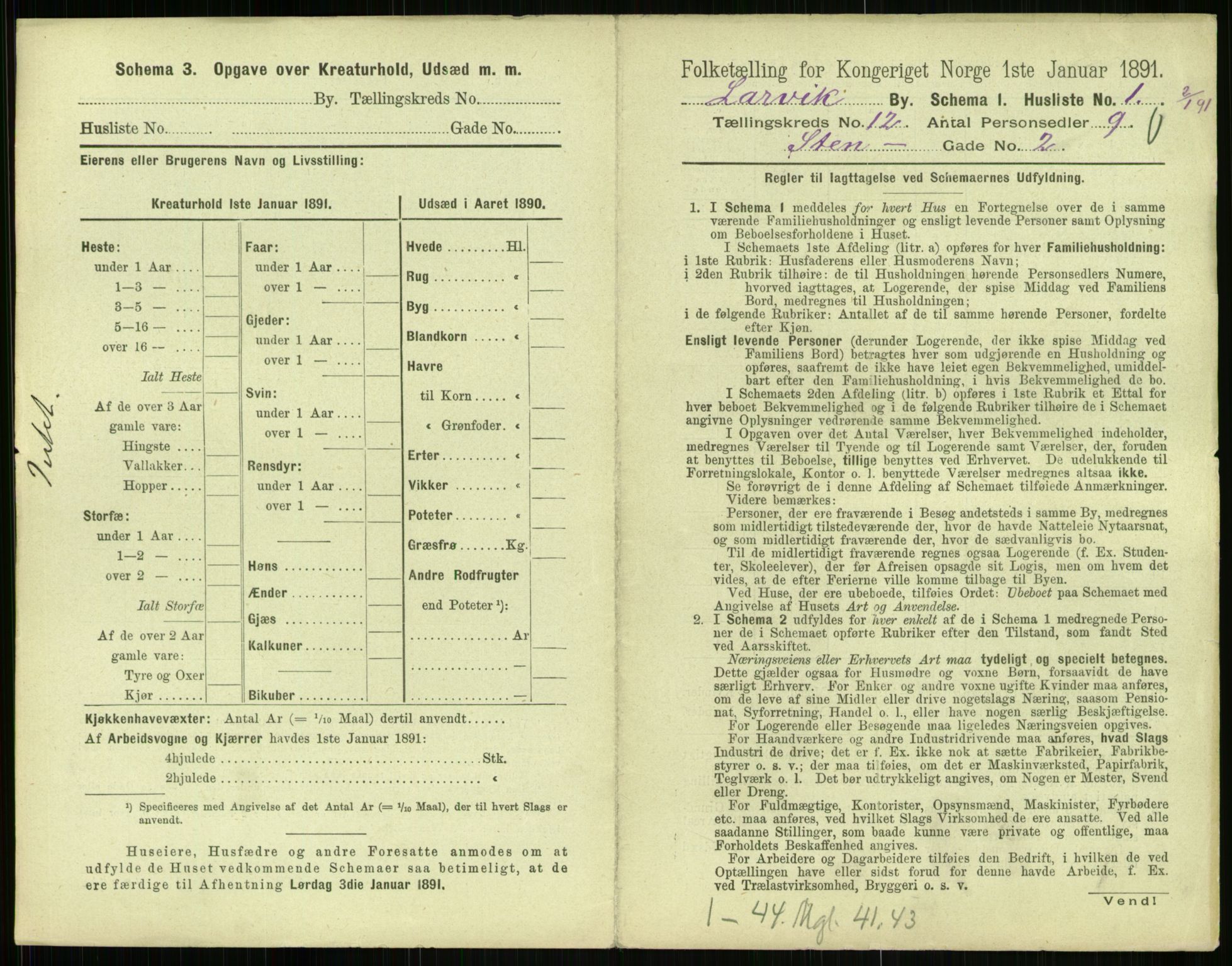 RA, 1891 census for 0707 Larvik, 1891, p. 1419