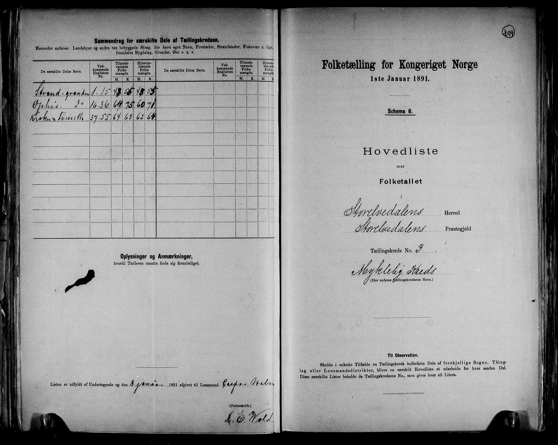 RA, 1891 census for 0430 Stor-Elvdal, 1891, p. 9