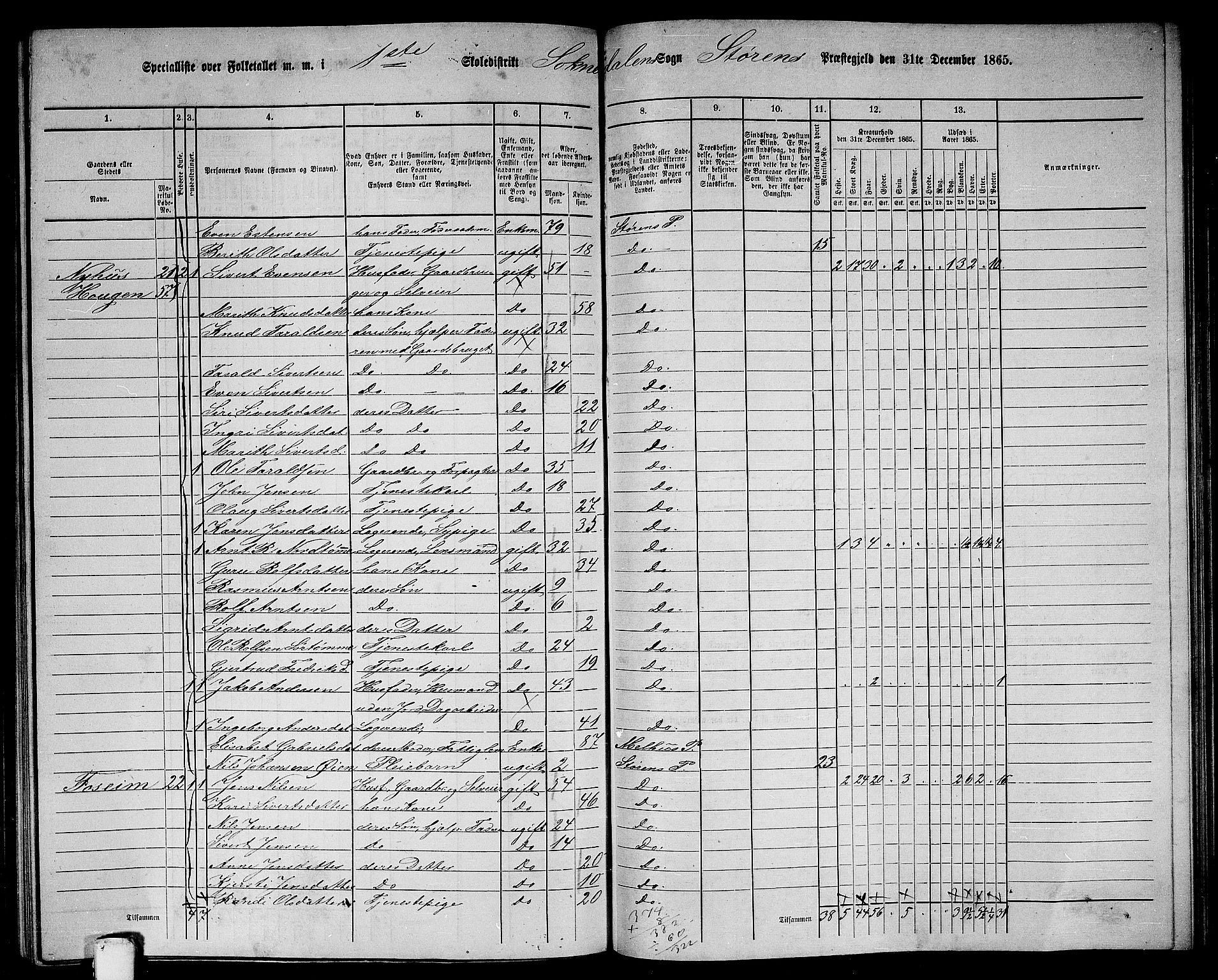 RA, 1865 census for Støren, 1865, p. 225