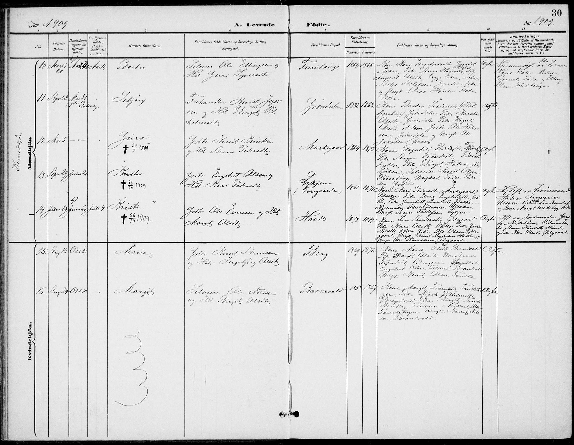 Gol kirkebøker, AV/SAKO-A-226/F/Fb/L0002: Parish register (official) no. II 2, 1900-1921, p. 30