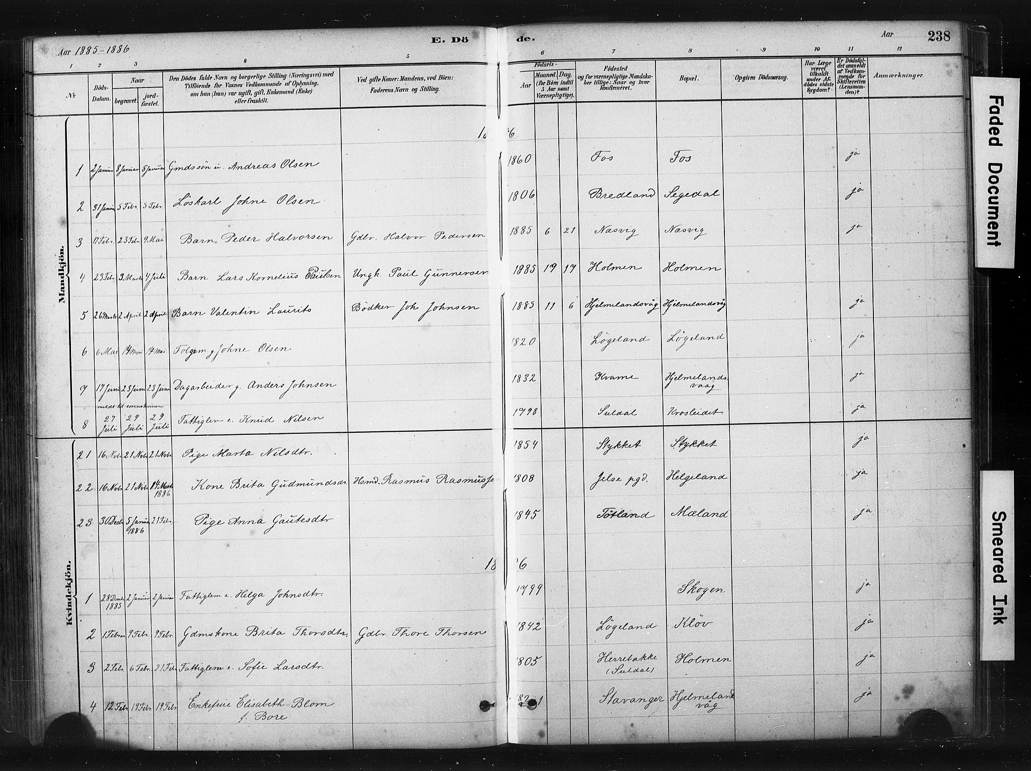 Hjelmeland sokneprestkontor, AV/SAST-A-101843/01/IV/L0014: Parish register (official) no. A 14, 1879-1900, p. 238