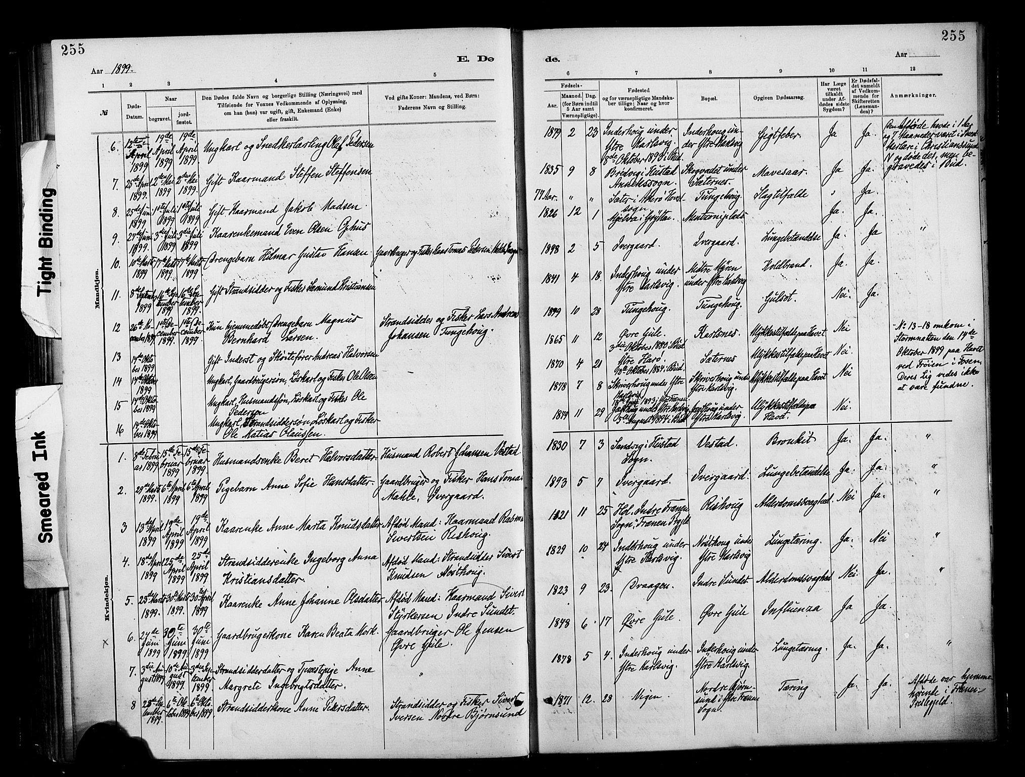 Ministerialprotokoller, klokkerbøker og fødselsregistre - Møre og Romsdal, AV/SAT-A-1454/566/L0769: Parish register (official) no. 566A08, 1881-1903, p. 255