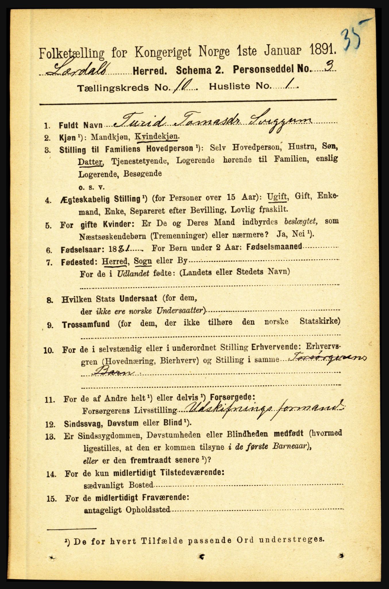 RA, 1891 census for 1422 Lærdal, 1891, p. 1699