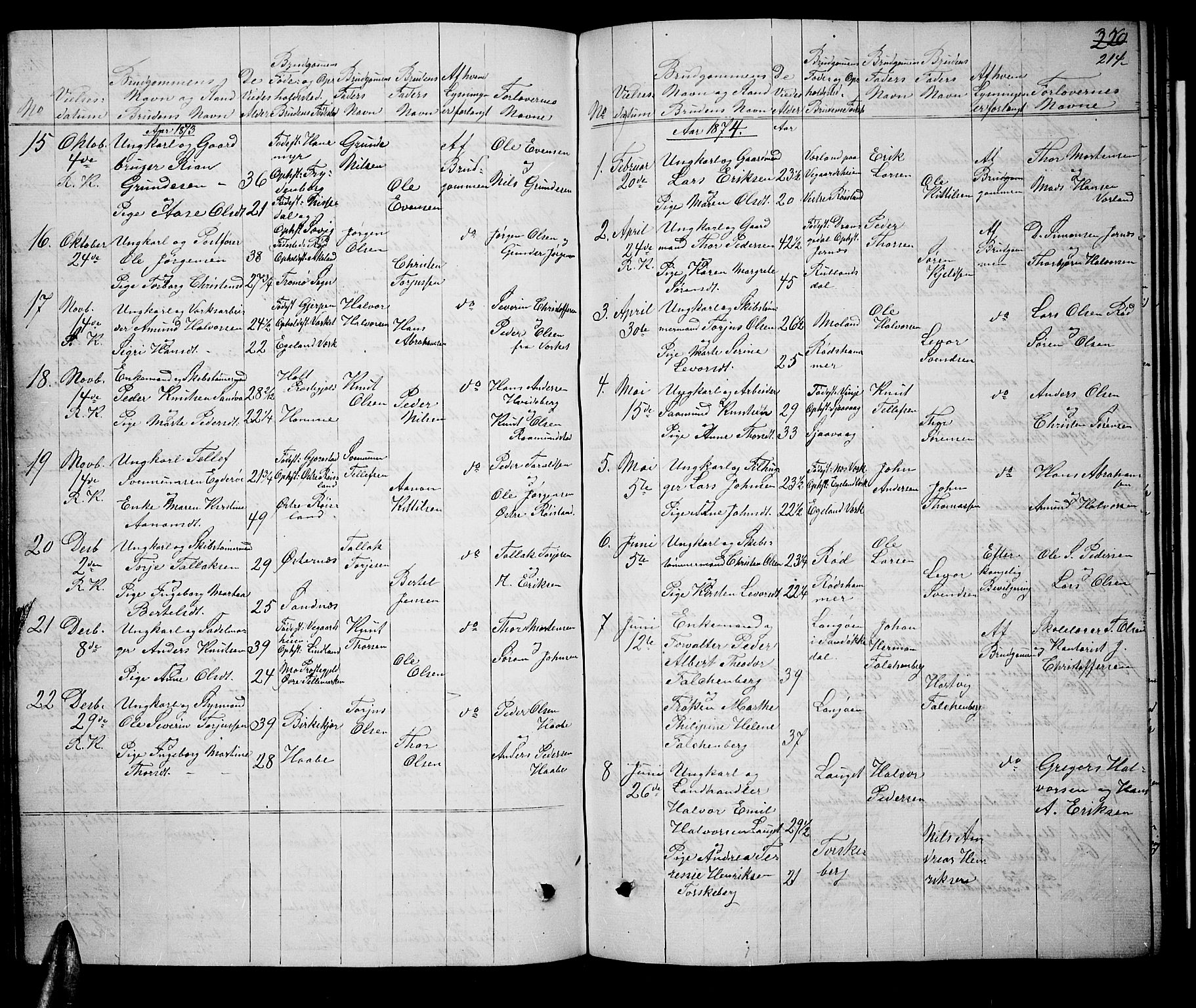 Søndeled sokneprestkontor, AV/SAK-1111-0038/F/Fb/L0004: Parish register (copy) no. B 4, 1857-1884, p. 214