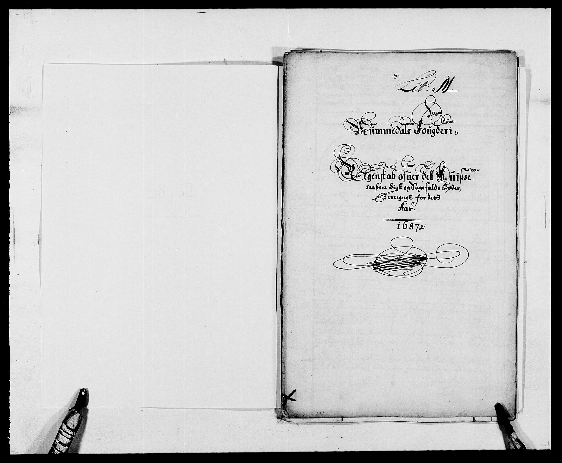 Rentekammeret inntil 1814, Reviderte regnskaper, Fogderegnskap, RA/EA-4092/R64/L4422: Fogderegnskap Namdal, 1687-1689, p. 66