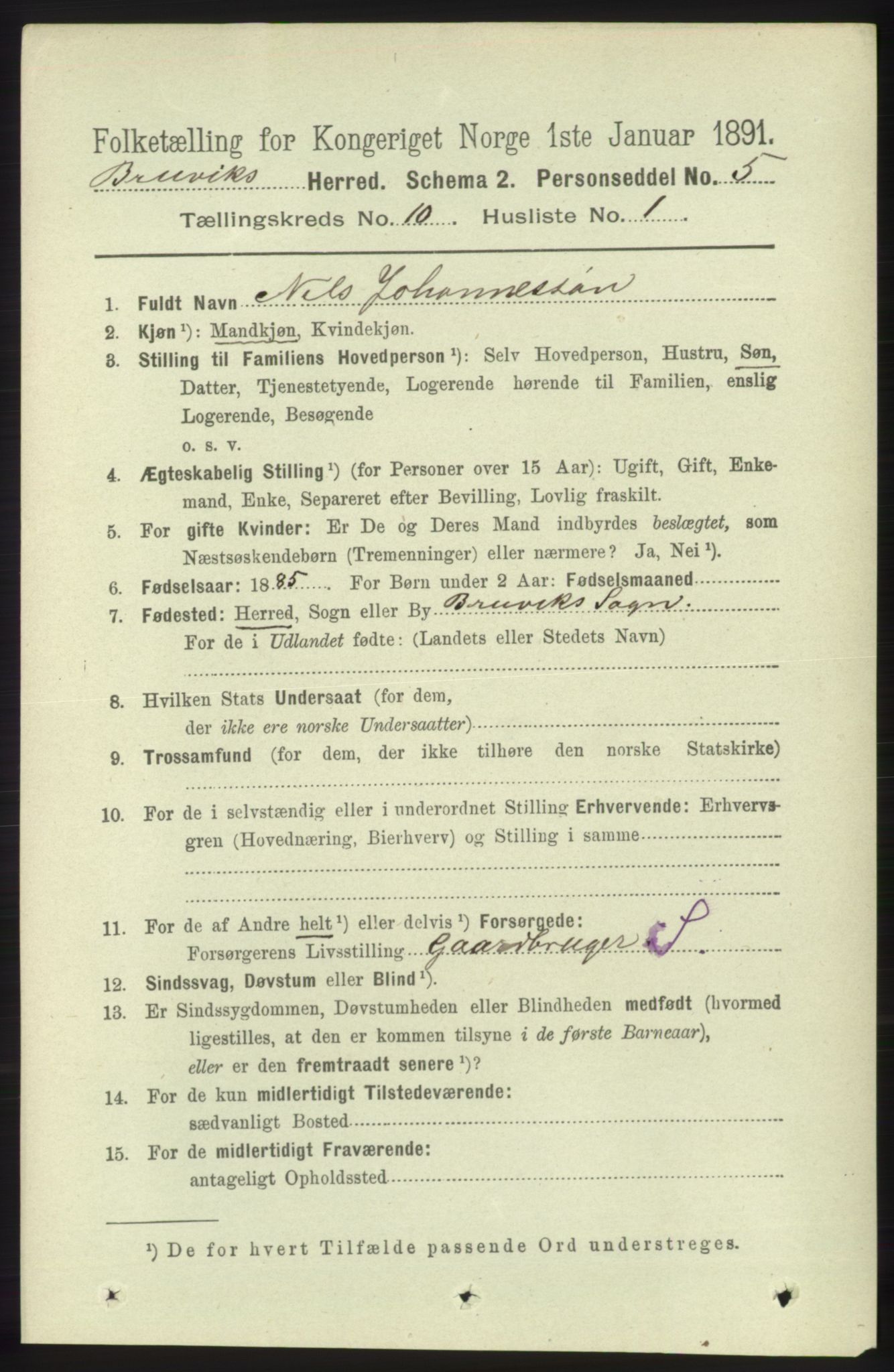 RA, 1891 census for 1251 Bruvik, 1891, p. 3658