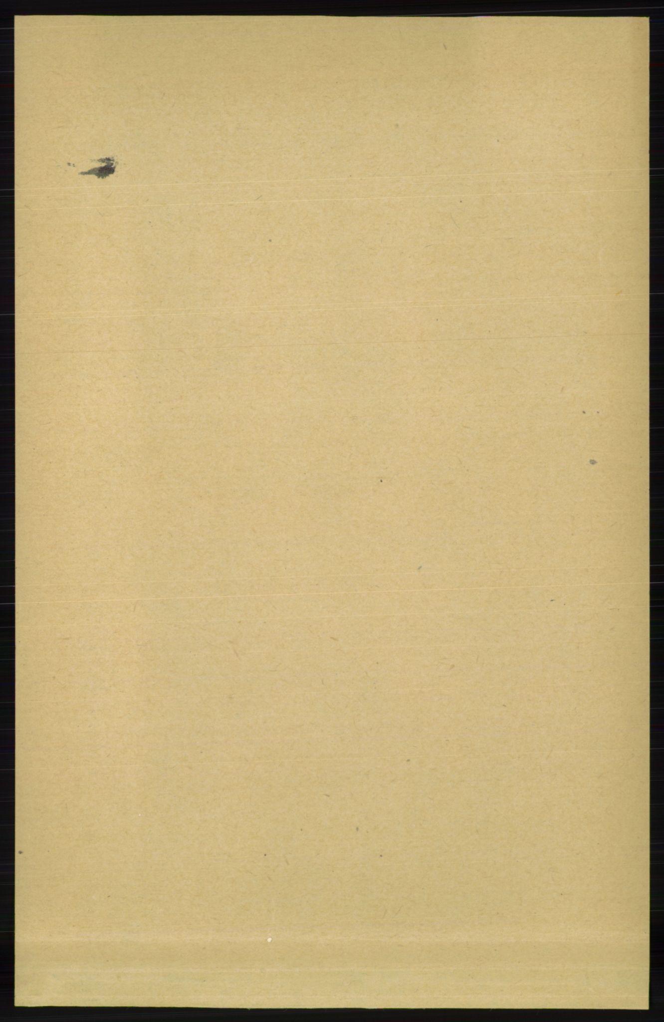 RA, 1891 census for 1034 Hægebostad, 1891, p. 2099