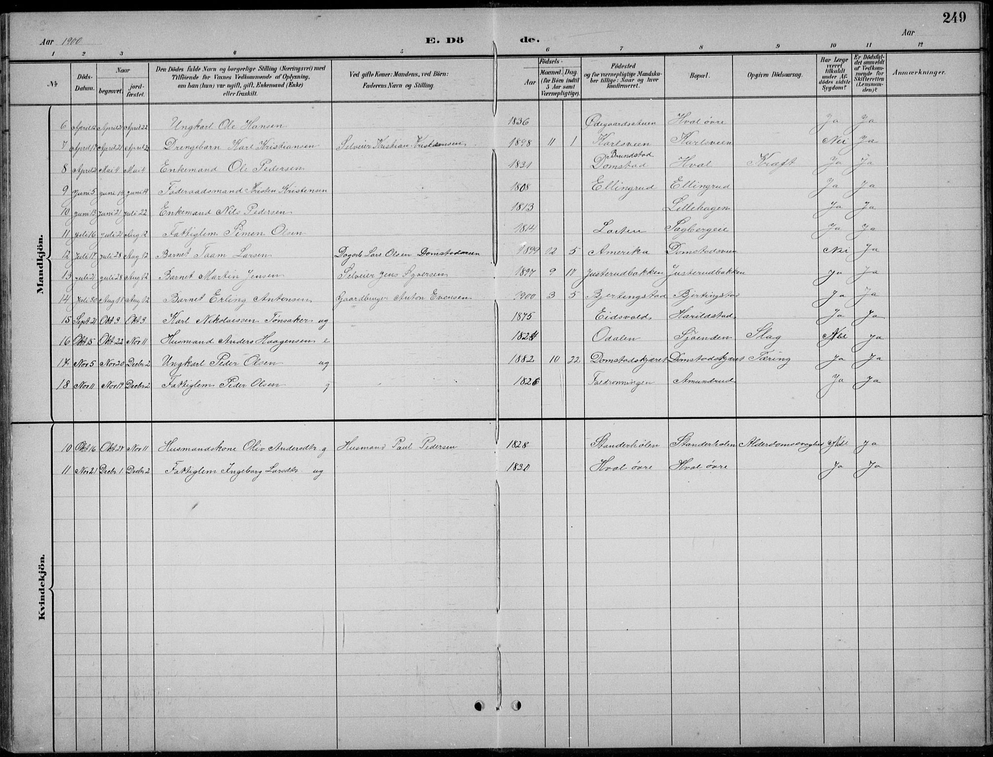 Romedal prestekontor, AV/SAH-PREST-004/L/L0013: Parish register (copy) no. 13, 1896-1937, p. 249