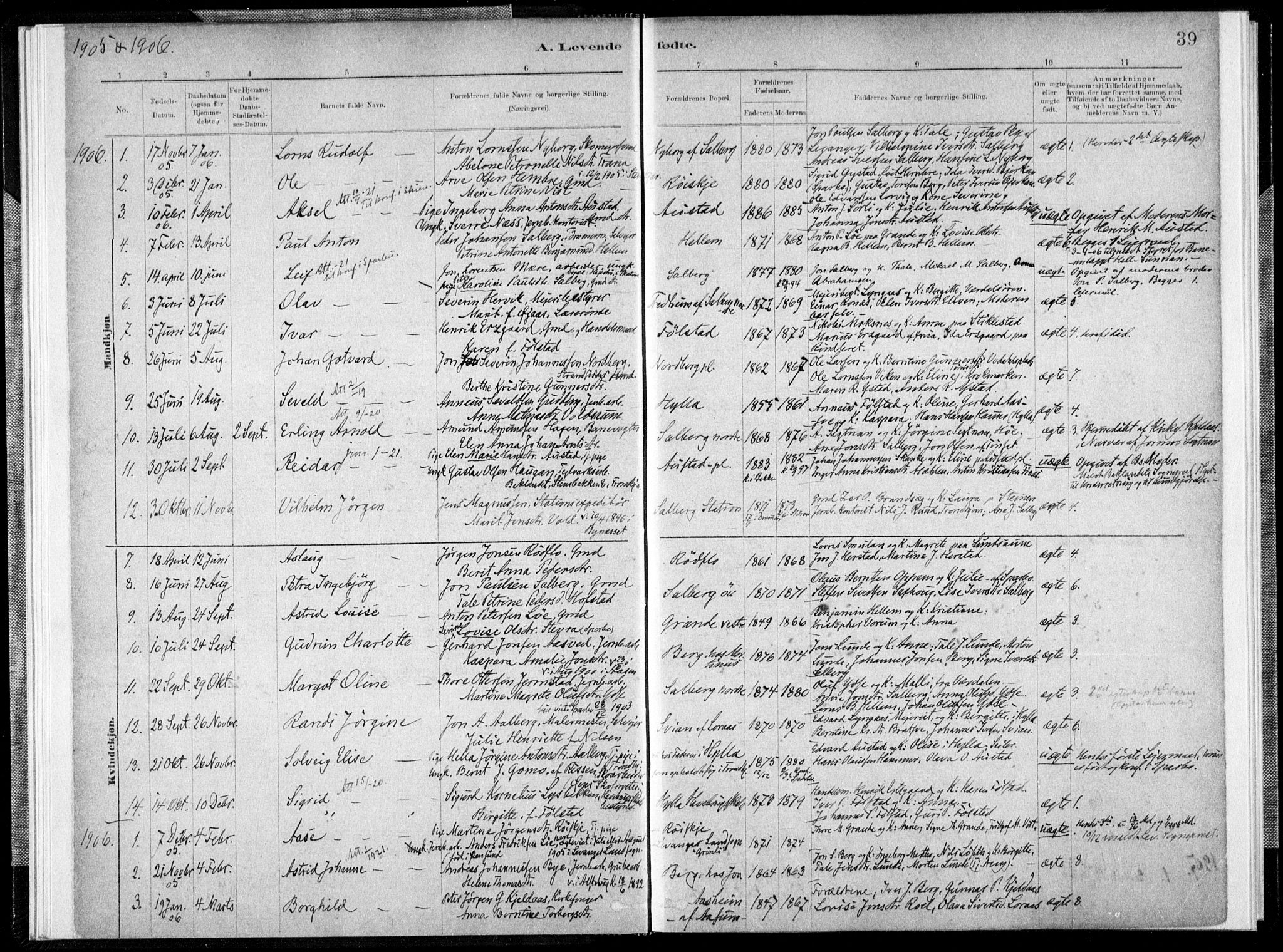 Ministerialprotokoller, klokkerbøker og fødselsregistre - Nord-Trøndelag, SAT/A-1458/731/L0309: Parish register (official) no. 731A01, 1879-1918, p. 39