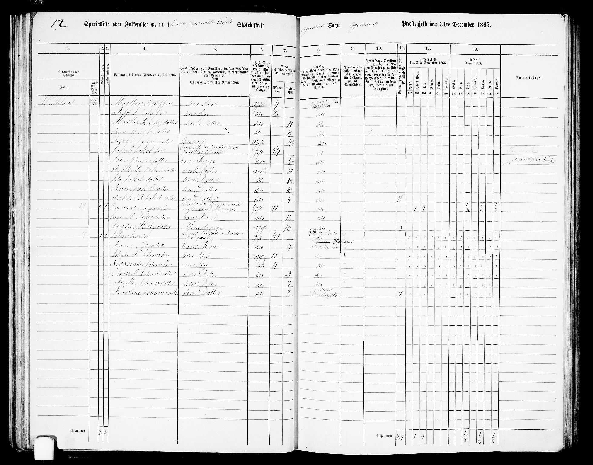 RA, 1865 census for Eigersund/Eigersund og Ogna, 1865, p. 53