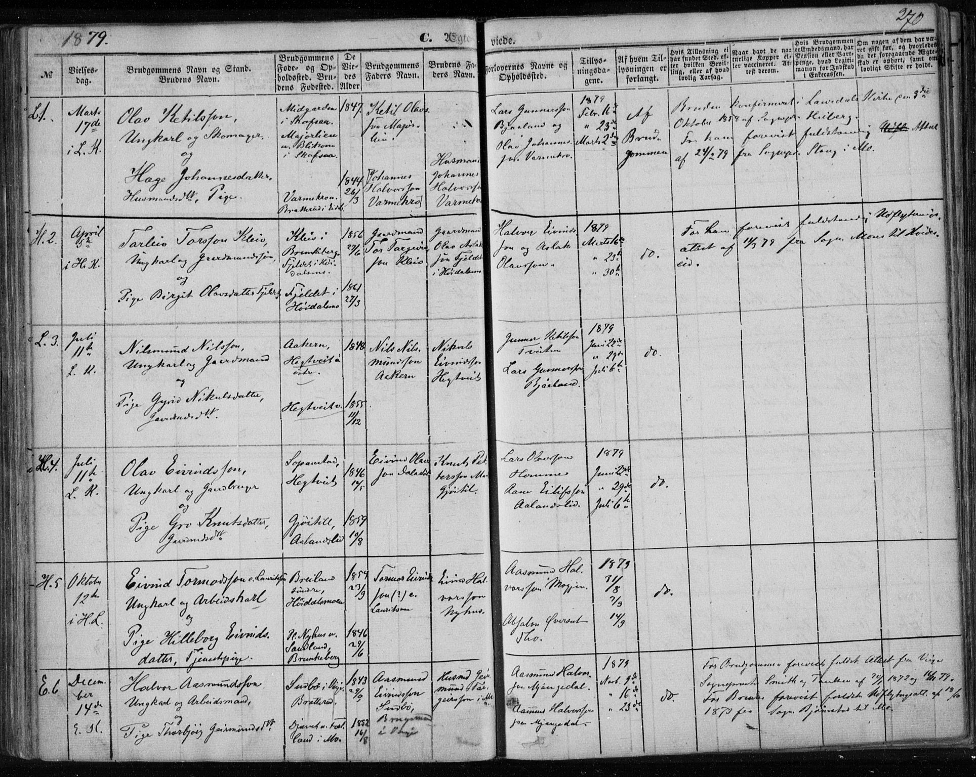 Lårdal kirkebøker, SAKO/A-284/F/Fa/L0006: Parish register (official) no. I 6, 1861-1886, p. 270
