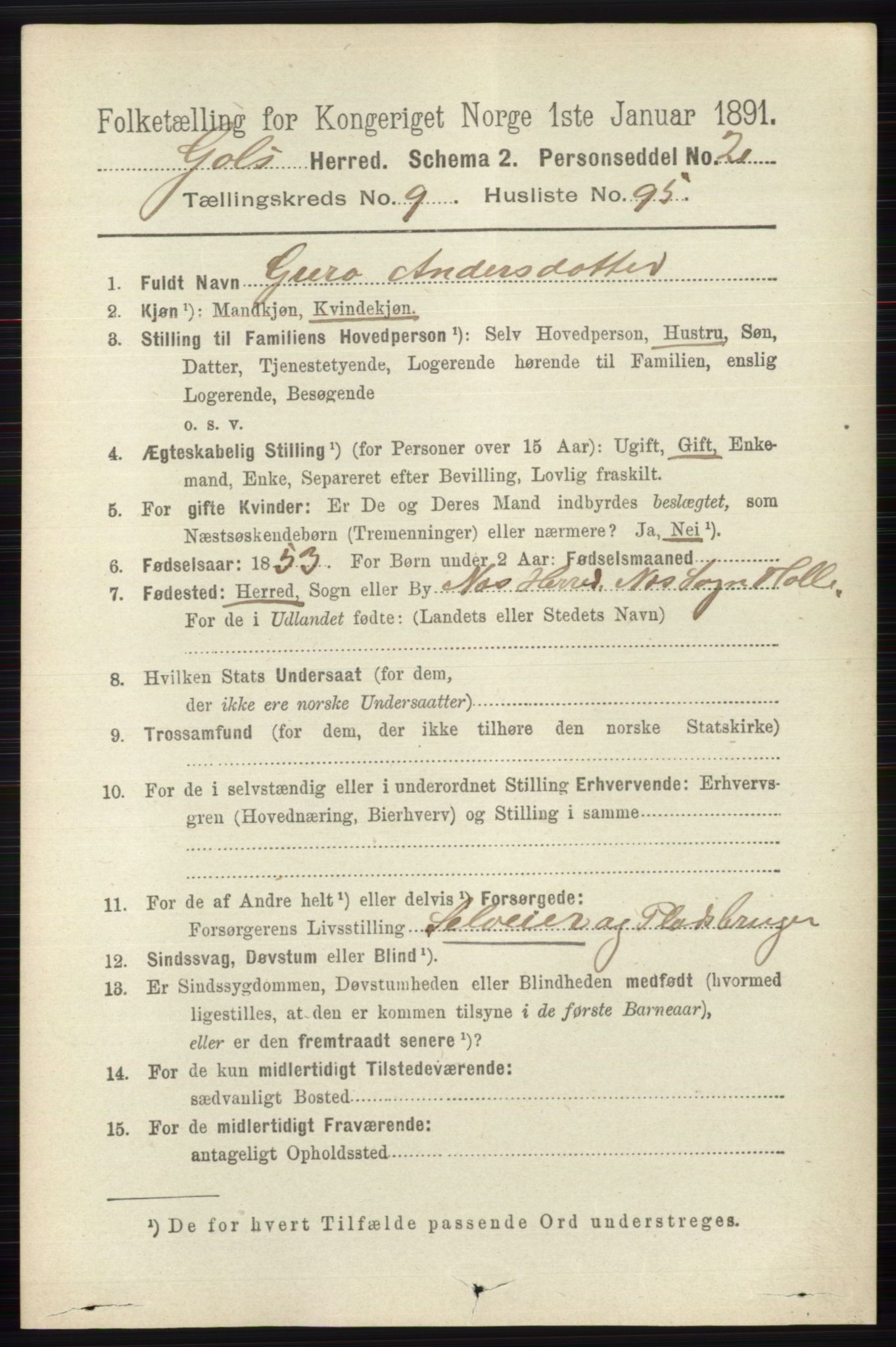 RA, 1891 census for 0617 Gol og Hemsedal, 1891, p. 3970