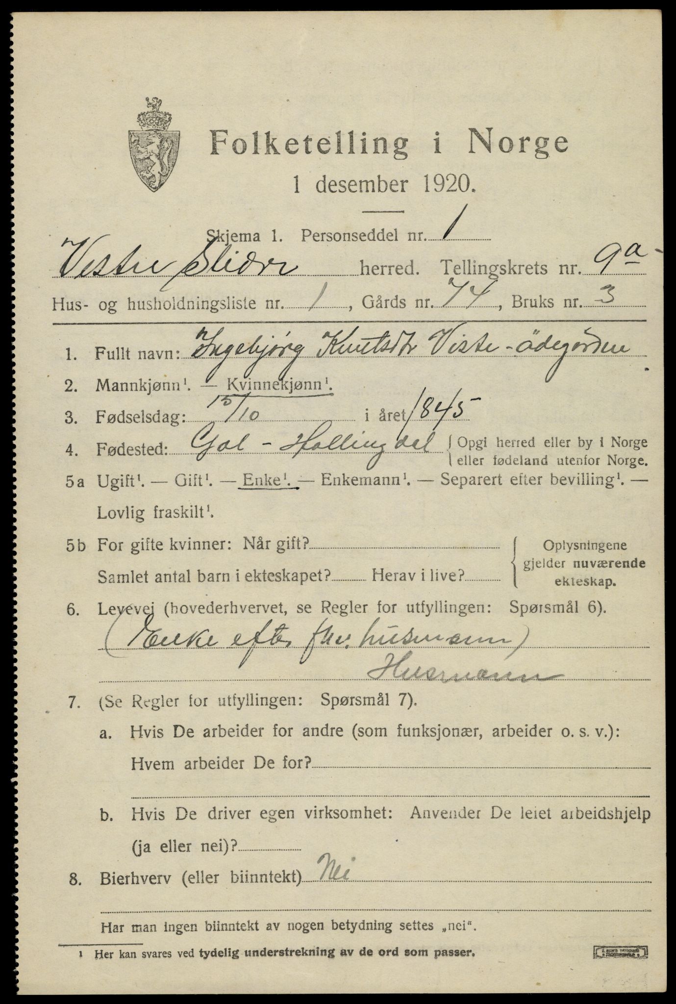 SAH, 1920 census for Vestre Slidre, 1920, p. 4970