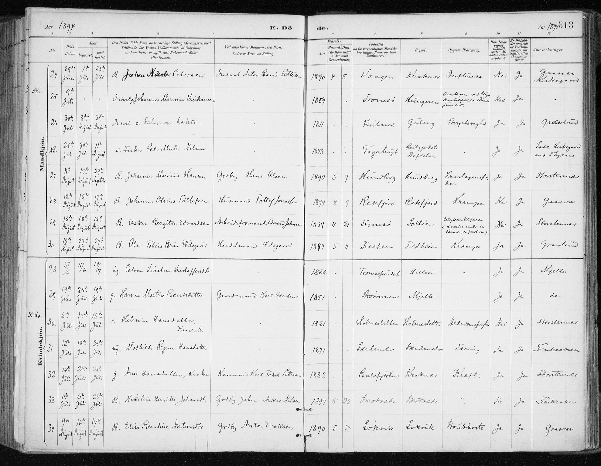 Tromsøysund sokneprestkontor, AV/SATØ-S-1304/G/Ga/L0005kirke: Parish register (official) no. 5, 1888-1896, p. 313