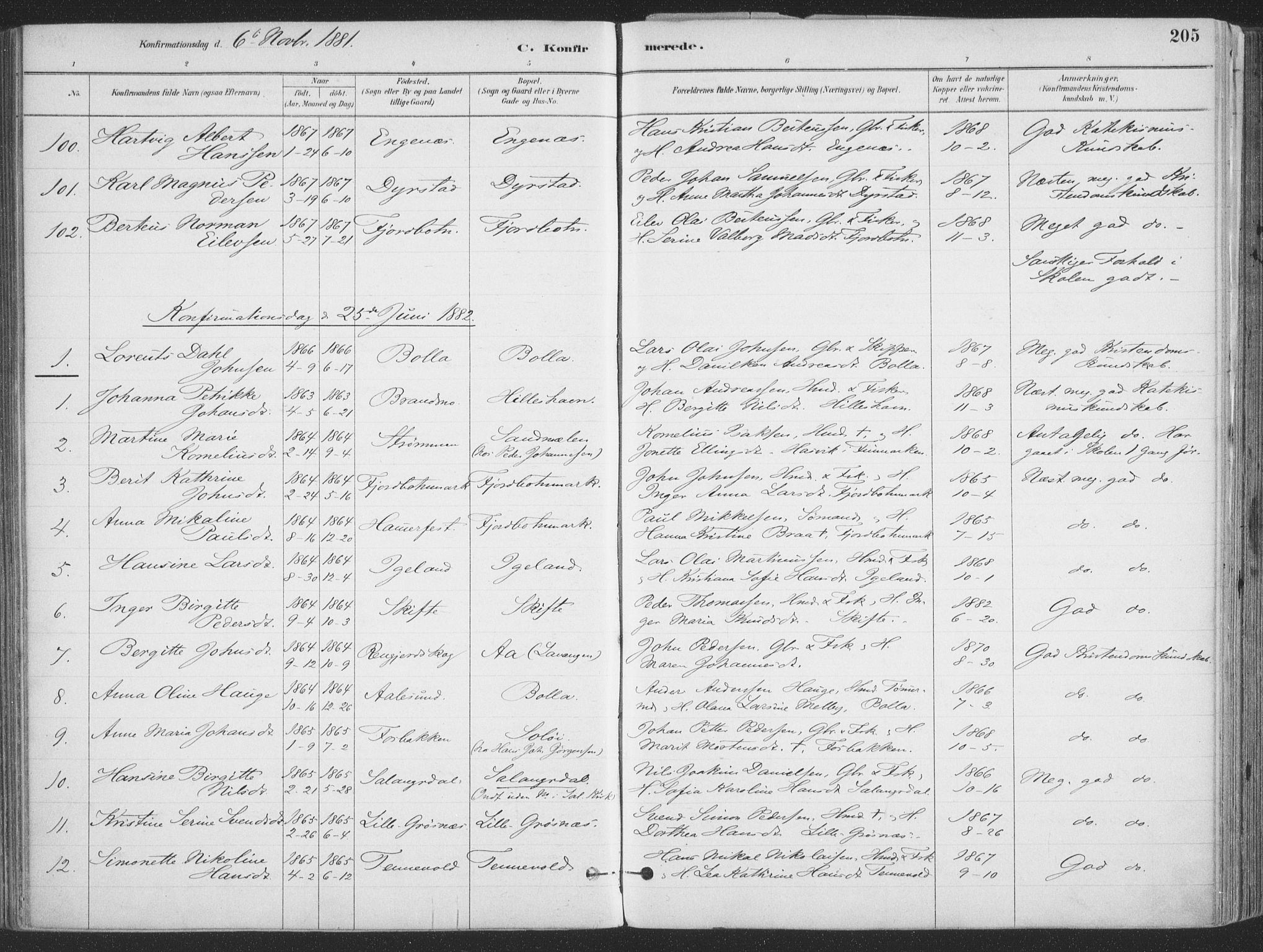 Ibestad sokneprestembete, AV/SATØ-S-0077/H/Ha/Haa/L0011kirke: Parish register (official) no. 11, 1880-1889, p. 205