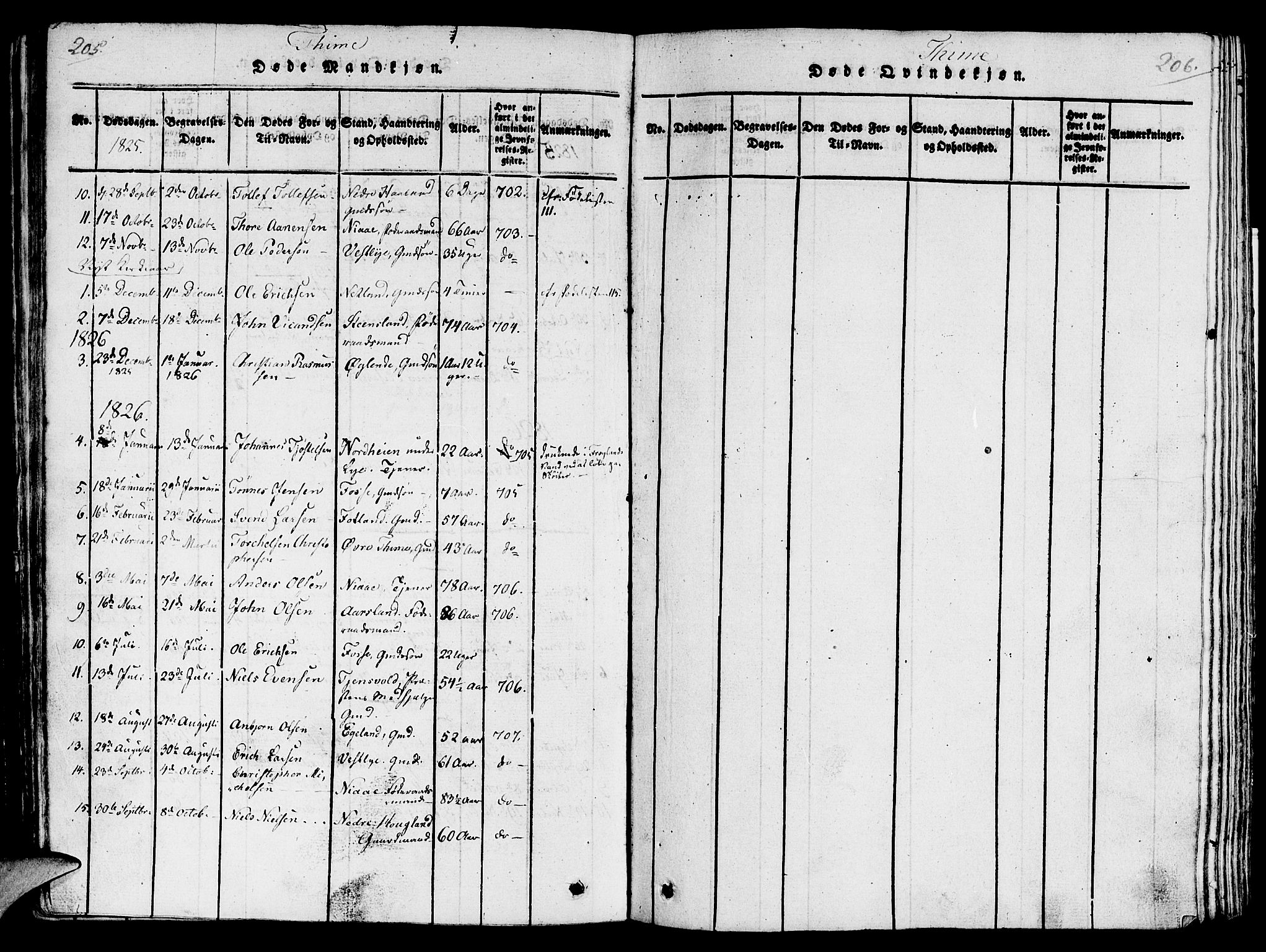 Lye sokneprestkontor, AV/SAST-A-101794/001/30/30BA/L0003: Parish register (official) no. A 3 /1, 1816-1826, p. 205-206