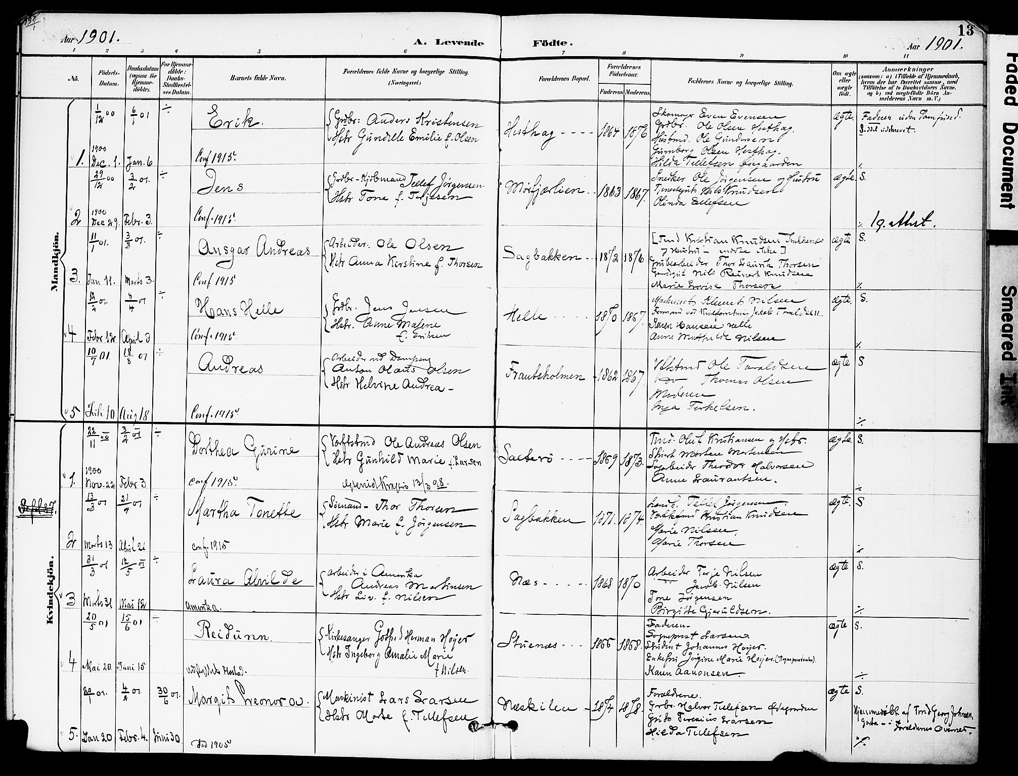 Austre Moland sokneprestkontor, SAK/1111-0001/F/Fa/Fab/L0002: Parish register (official) no. A 2, 1894-1919, p. 13