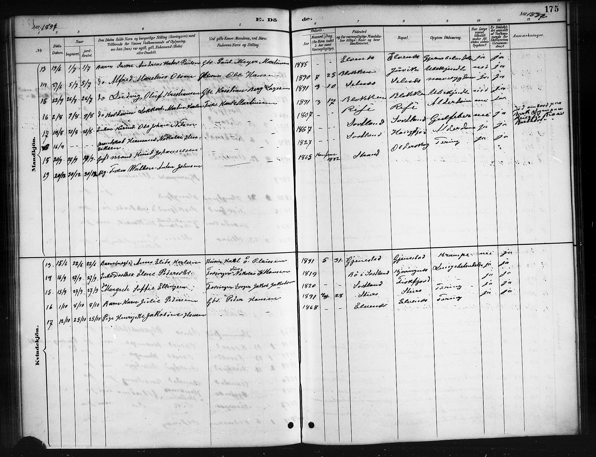 Ministerialprotokoller, klokkerbøker og fødselsregistre - Nordland, AV/SAT-A-1459/895/L1382: Parish register (copy) no. 895C04, 1885-1896, p. 175