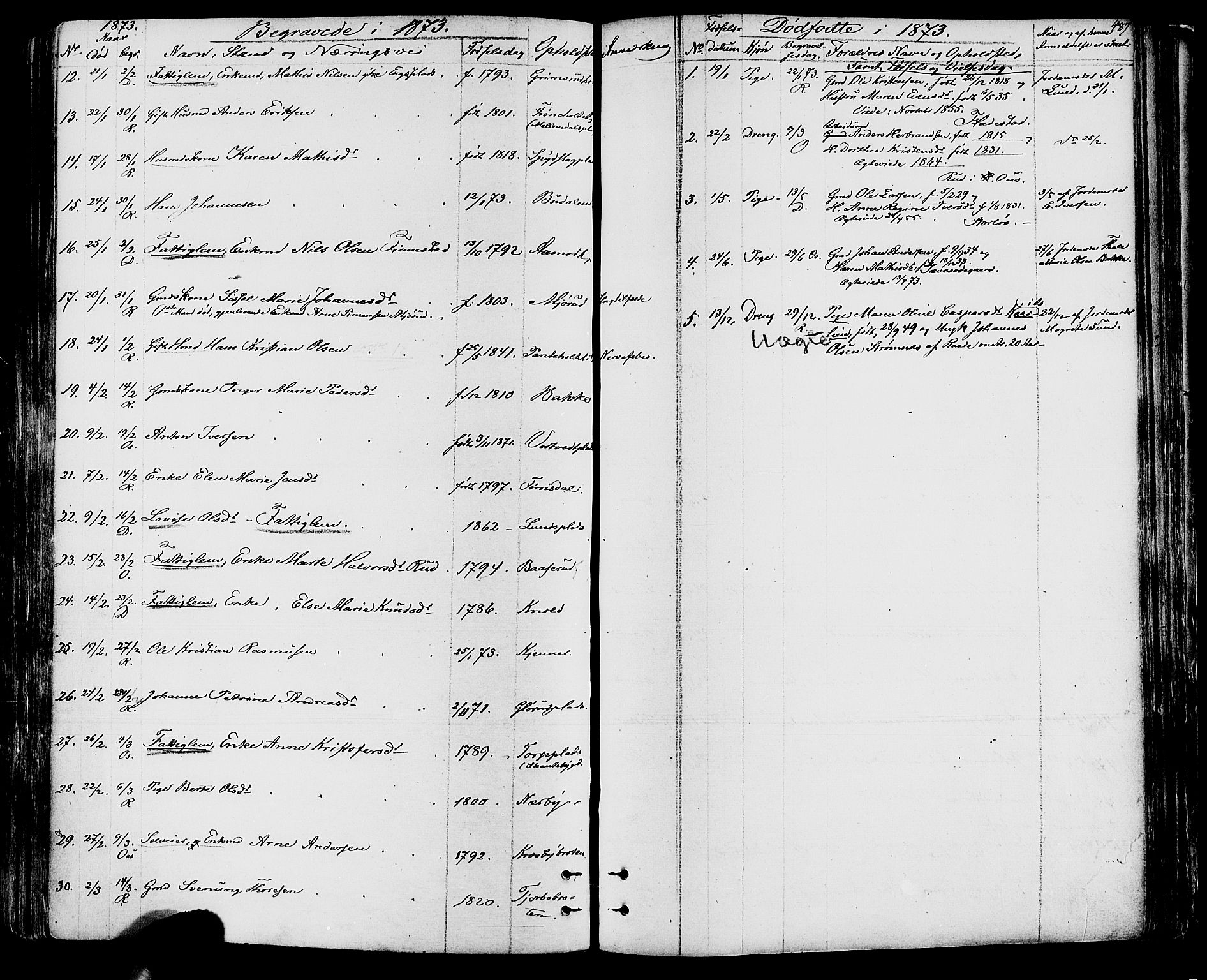 Rakkestad prestekontor Kirkebøker, SAO/A-2008/F/Fa/L0011: Parish register (official) no. I 11, 1862-1877, p. 487