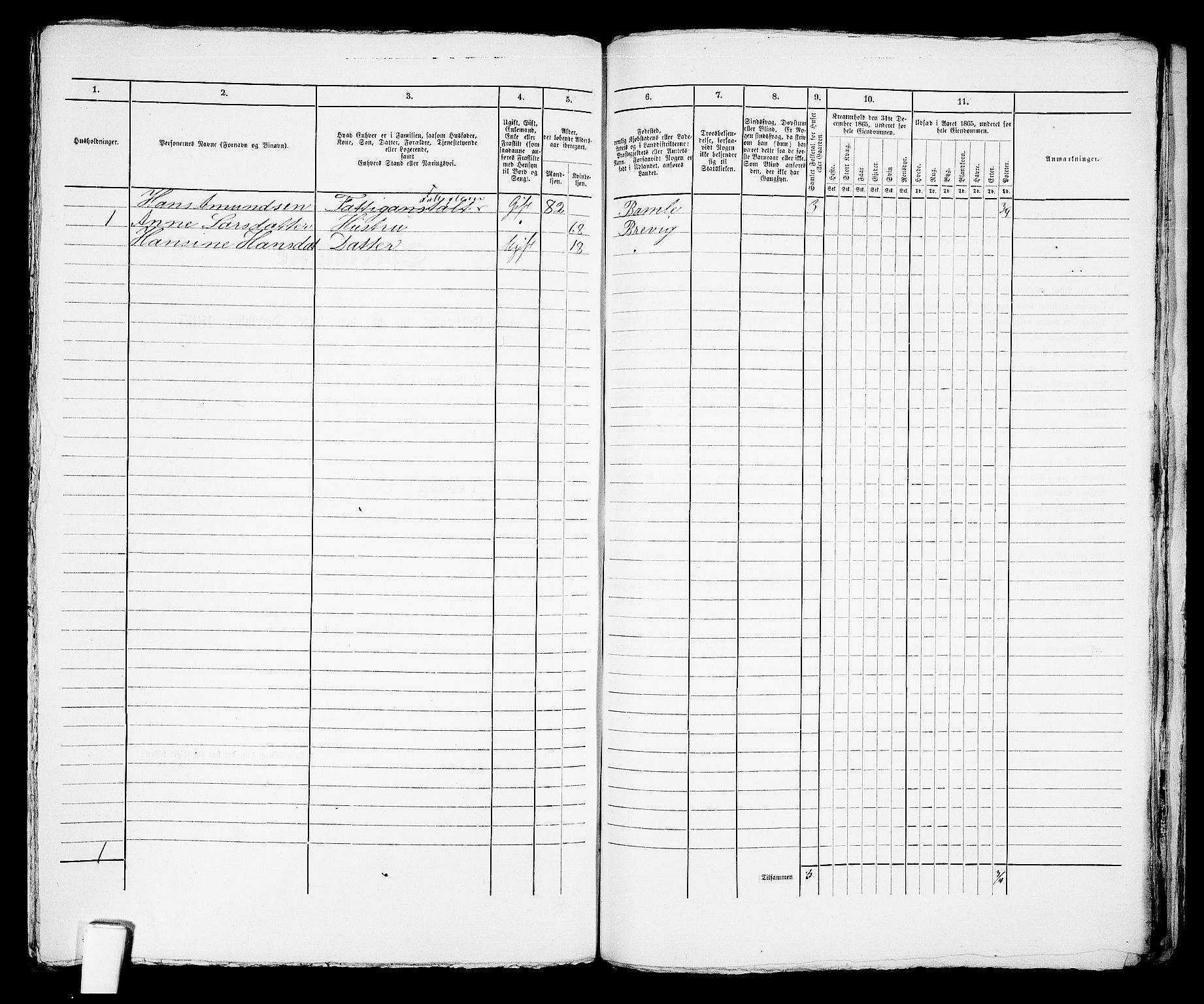 RA, 1865 census for Brevik, 1865, p. 326