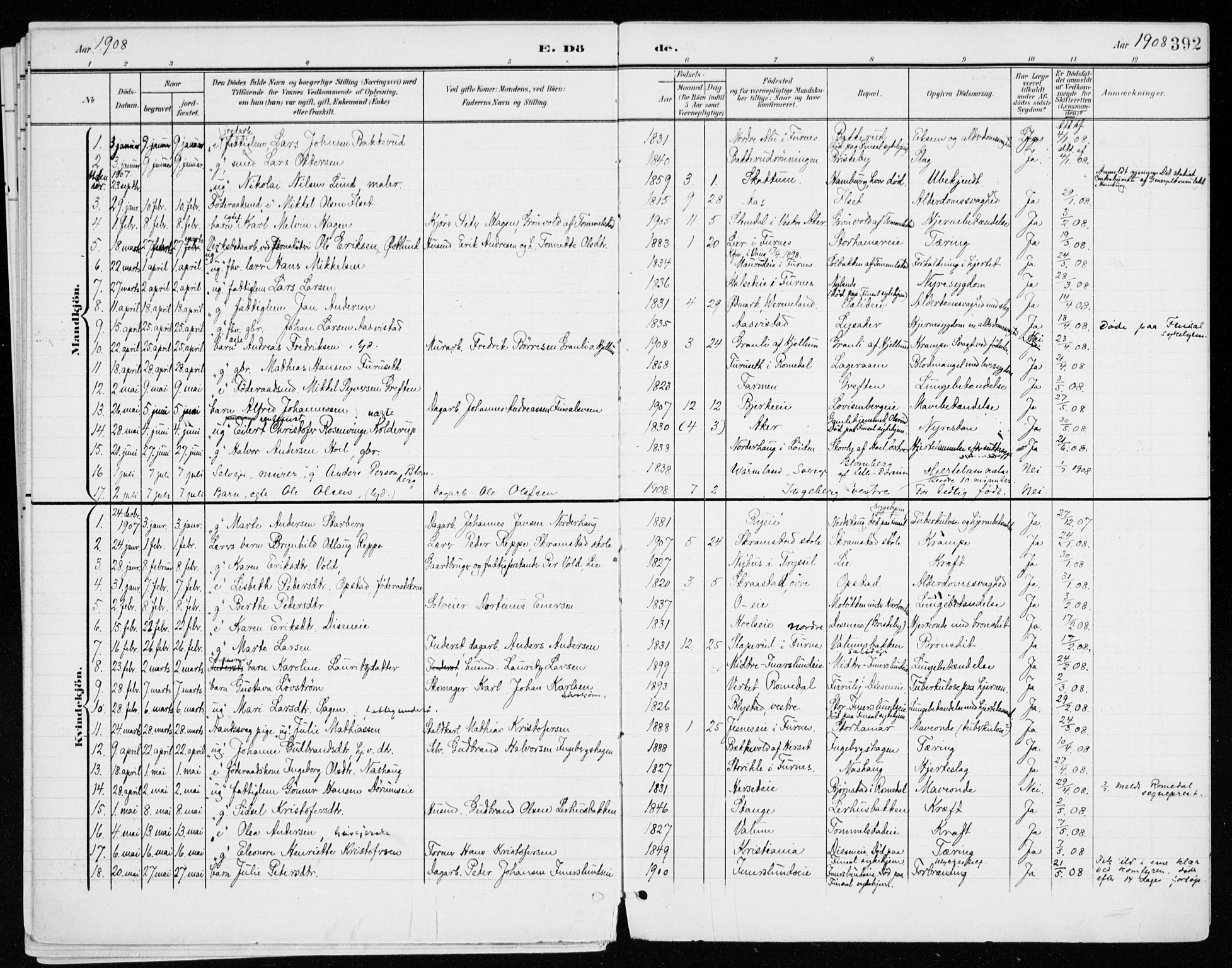 Vang prestekontor, Hedmark, SAH/PREST-008/H/Ha/Haa/L0021: Parish register (official) no. 21, 1902-1917, p. 392