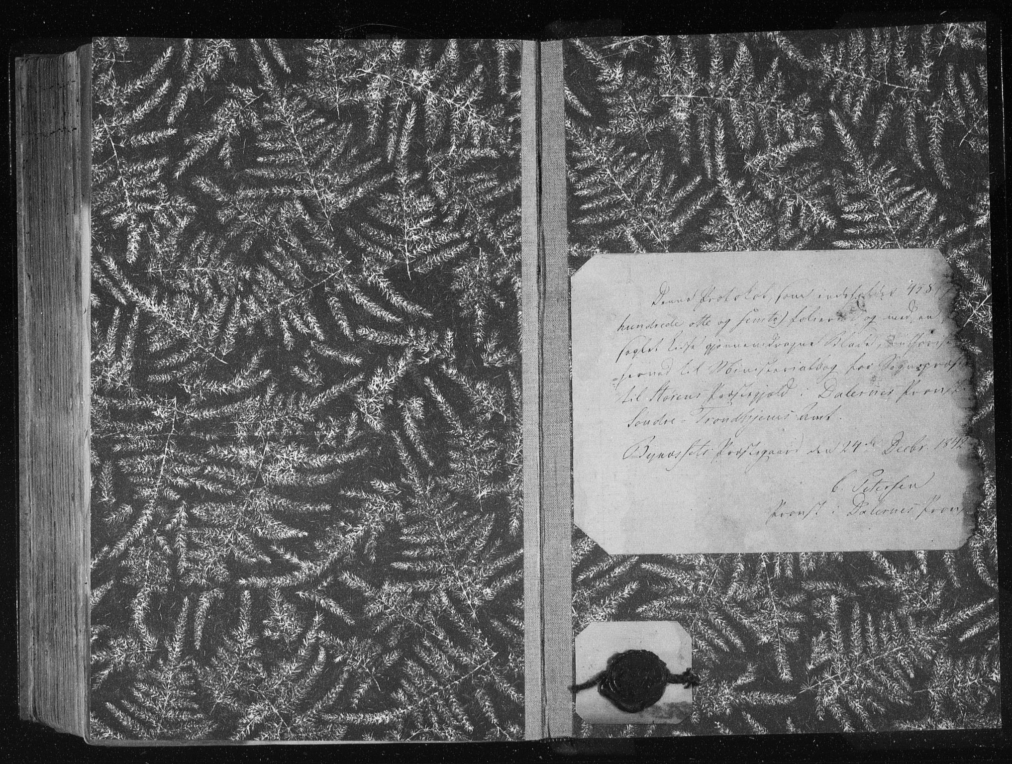 Ministerialprotokoller, klokkerbøker og fødselsregistre - Sør-Trøndelag, AV/SAT-A-1456/687/L0999: Parish register (official) no. 687A05 /3, 1843-1848