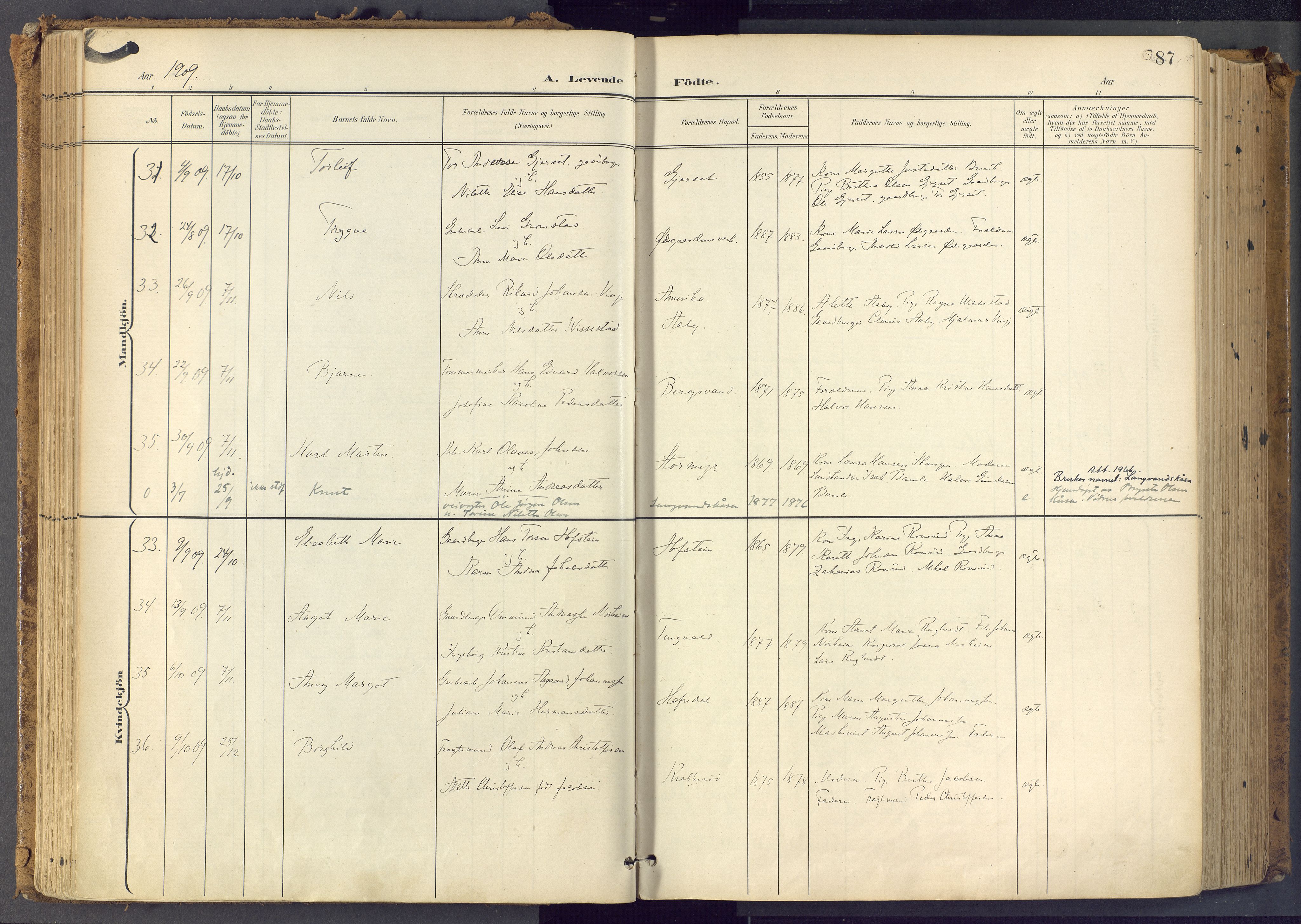 Bamble kirkebøker, SAKO/A-253/F/Fa/L0009: Parish register (official) no. I 9, 1901-1917, p. 87