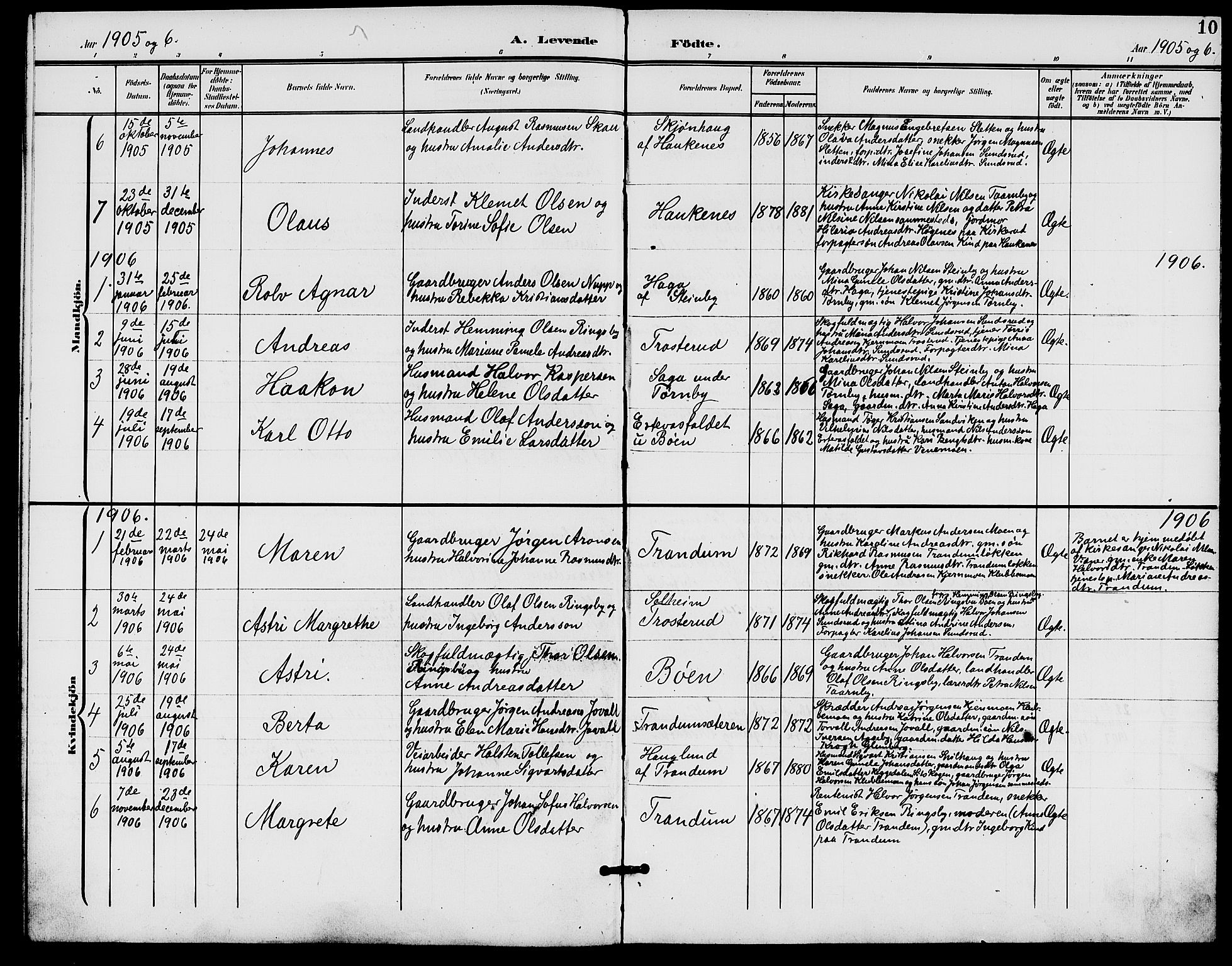 Rødenes prestekontor Kirkebøker, AV/SAO-A-2005/G/Gb/L0001: Parish register (copy) no. II 1, 1901-1910, p. 10