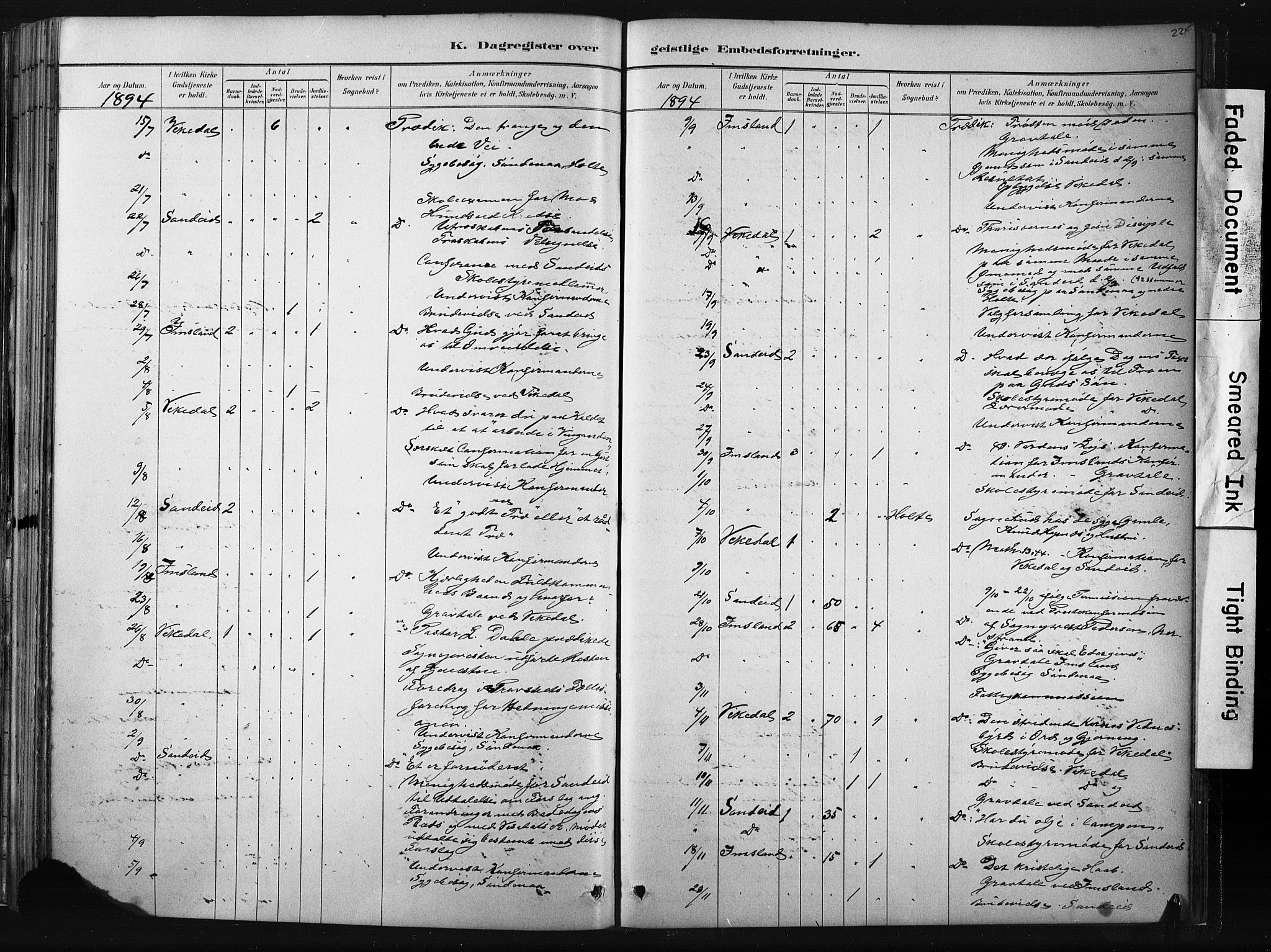 Vikedal sokneprestkontor, AV/SAST-A-101840/01/IV: Parish register (official) no. A 10, 1884-1907, p. 224