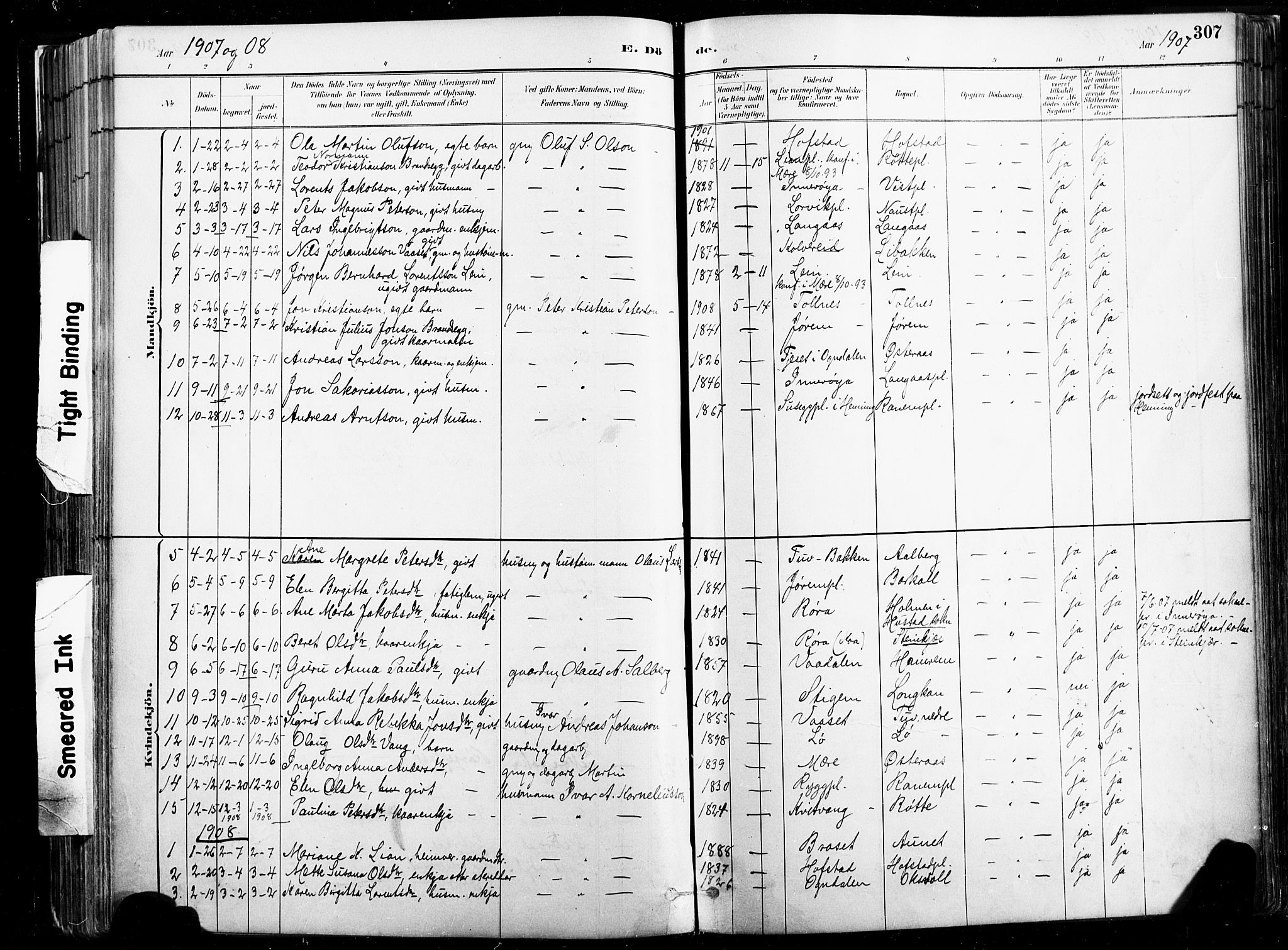 Ministerialprotokoller, klokkerbøker og fødselsregistre - Nord-Trøndelag, SAT/A-1458/735/L0351: Parish register (official) no. 735A10, 1884-1908, p. 307