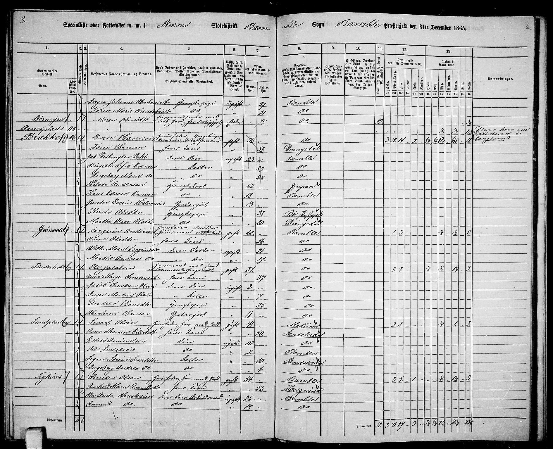 RA, 1865 census for Bamble, 1865, p. 171