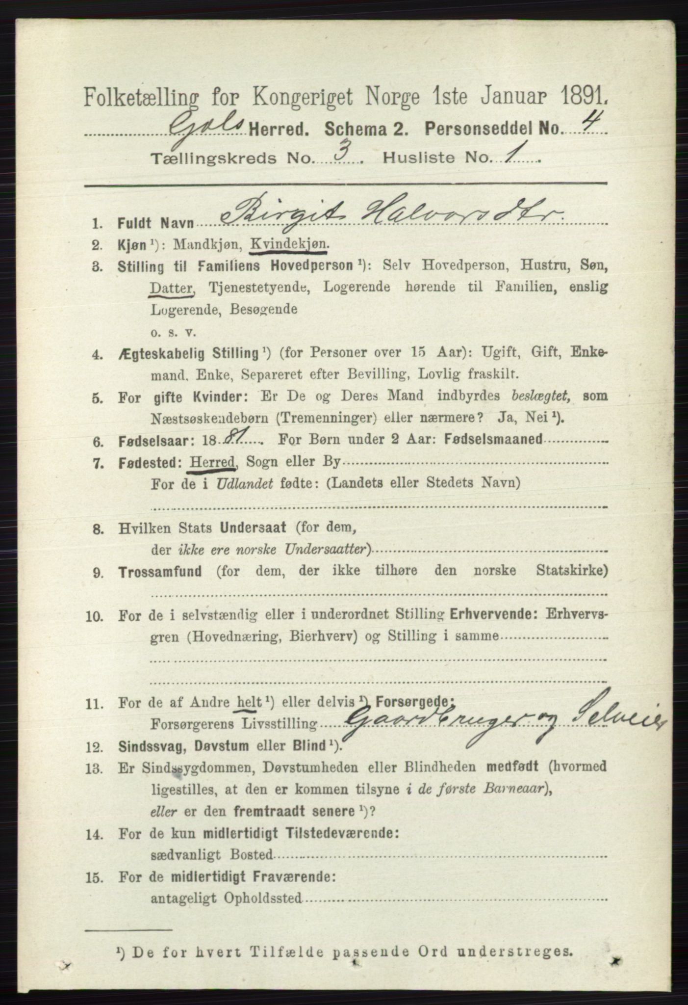 RA, 1891 census for 0617 Gol og Hemsedal, 1891, p. 1276