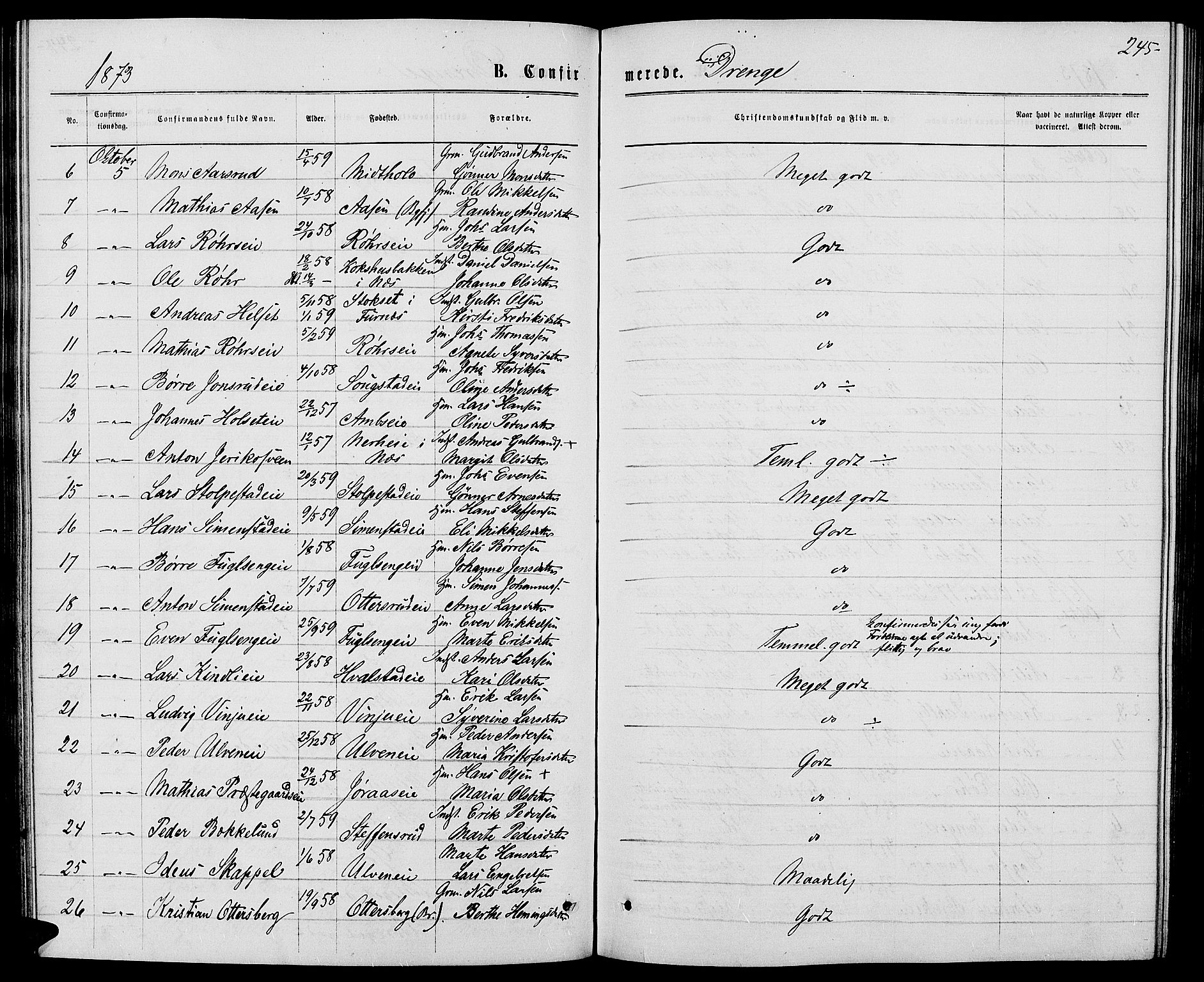 Ringsaker prestekontor, AV/SAH-PREST-014/L/La/L0008: Parish register (copy) no. 8, 1870-1878, p. 245